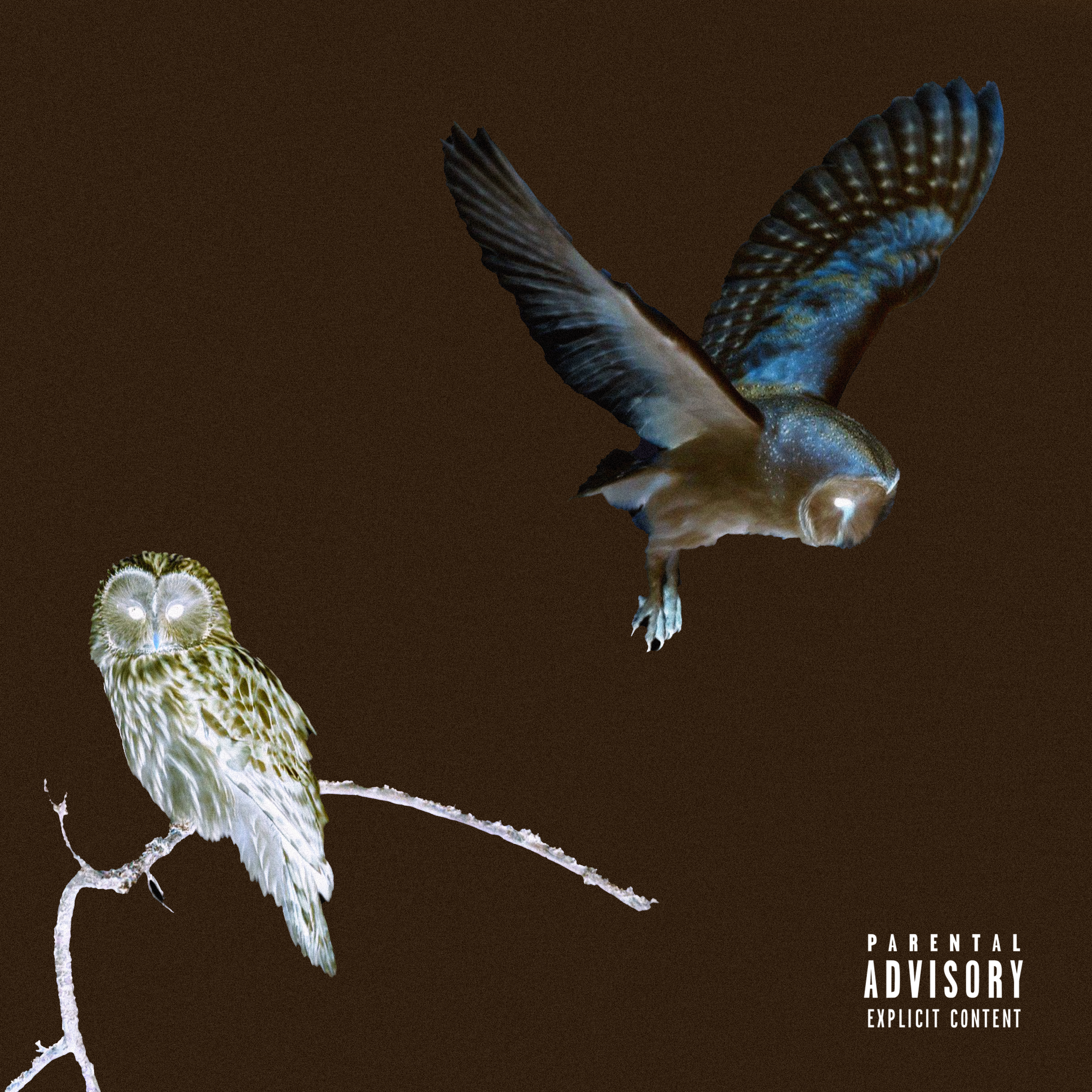NIGHT SHIFT artwork