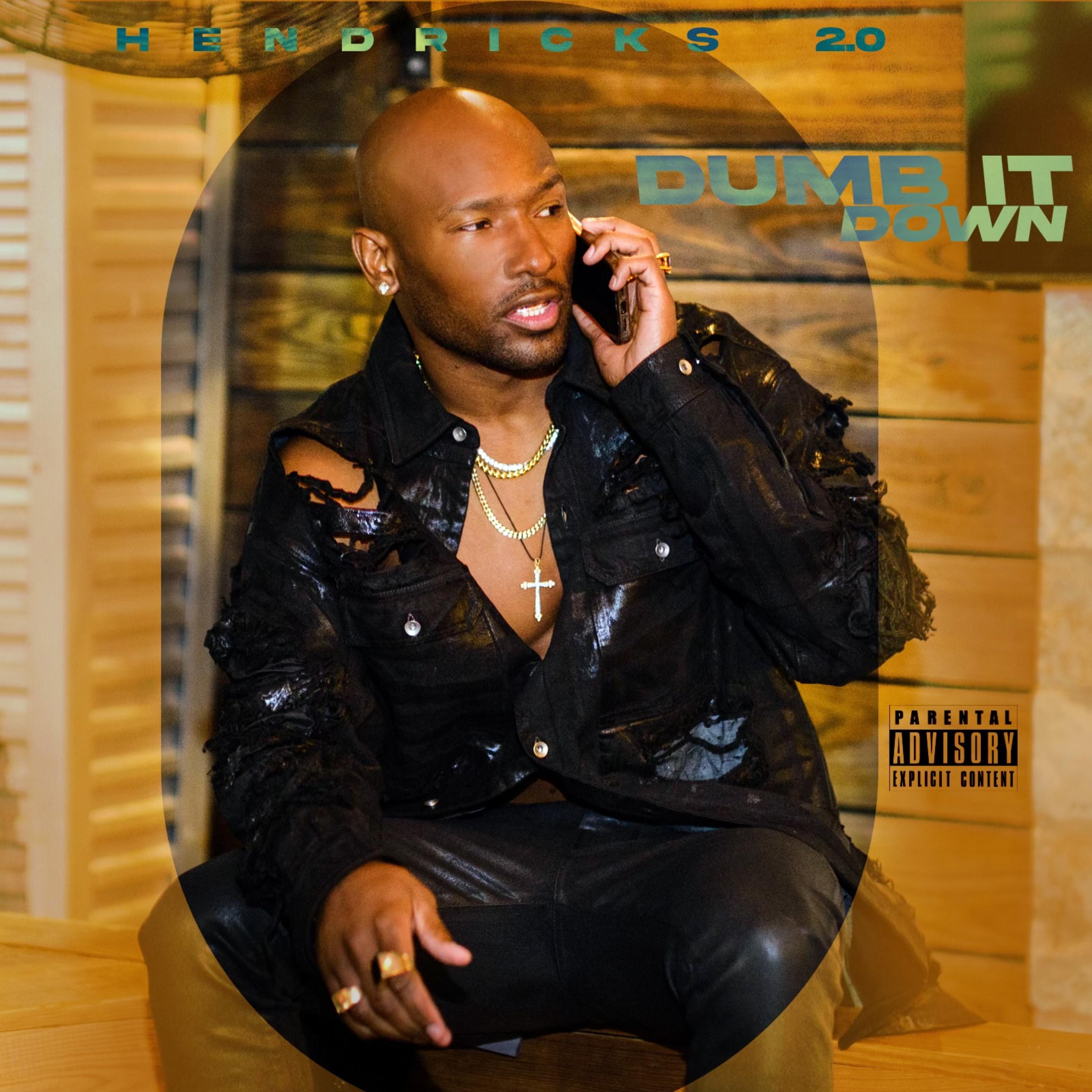 Dumb It Down artwork