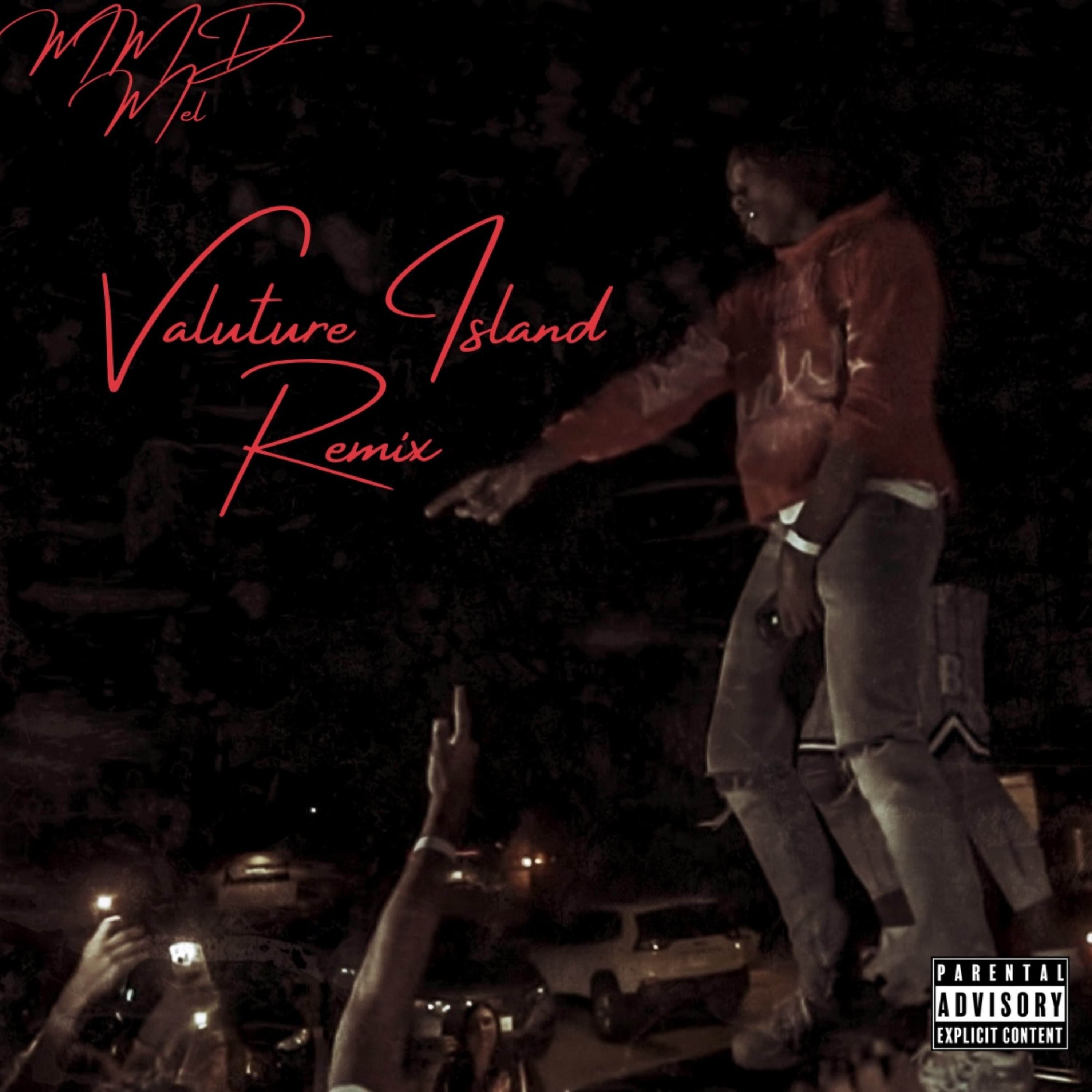 Vulture Island (Remix) artwork