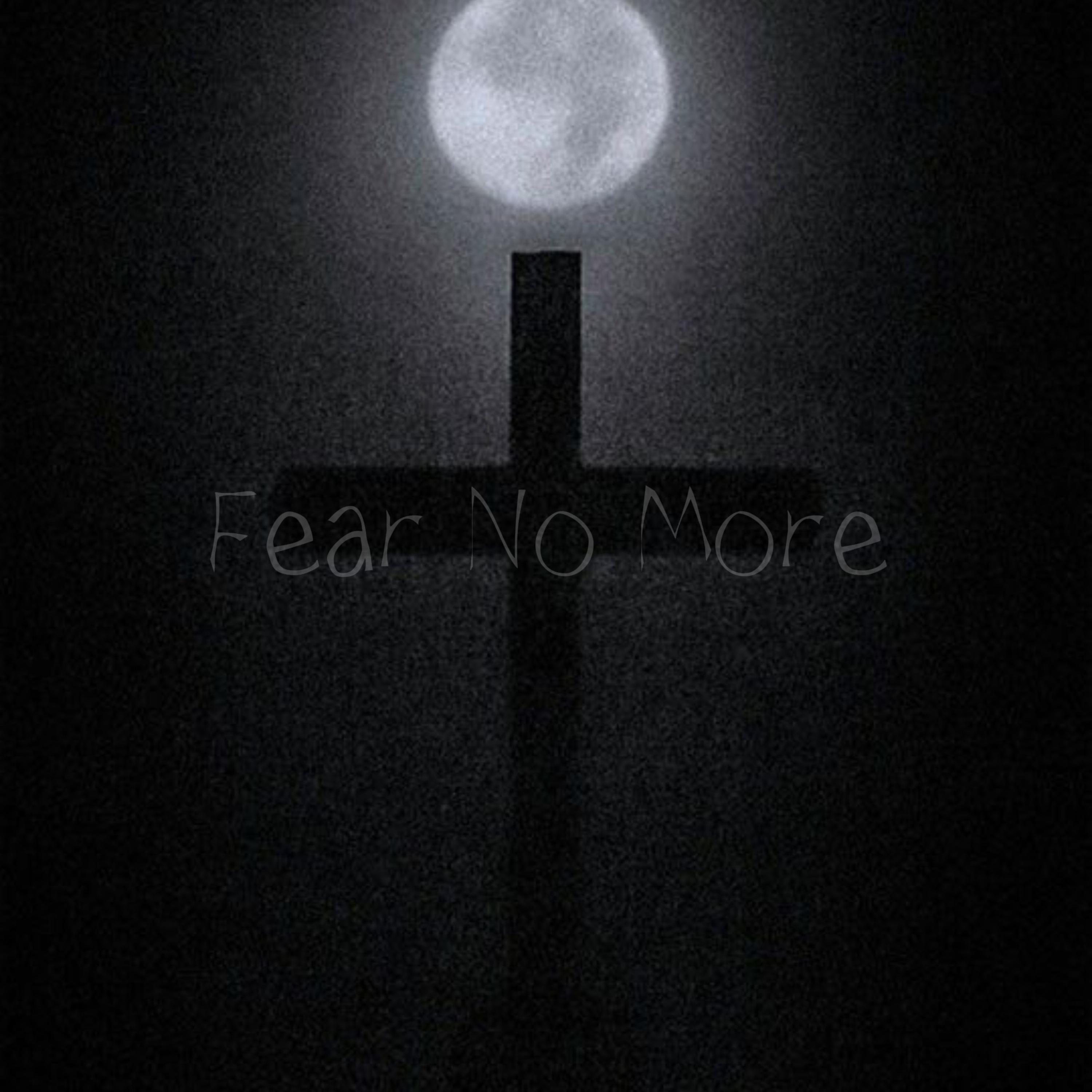Fear No More artwork