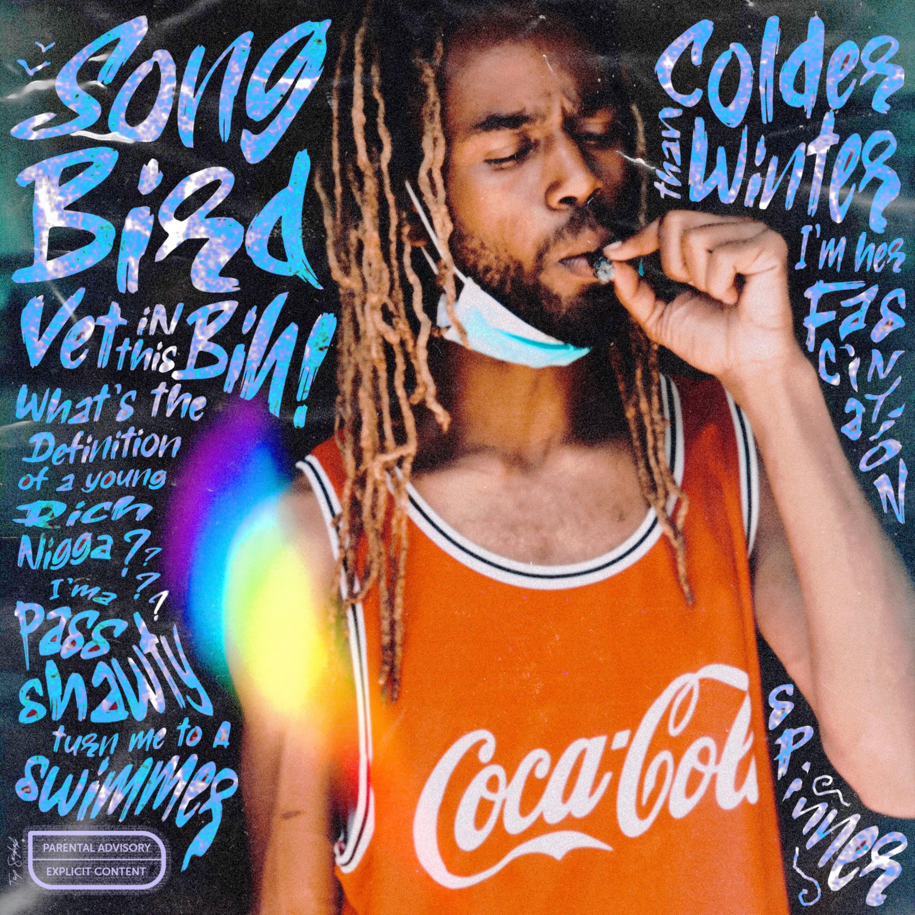 SONG BIRD artwork