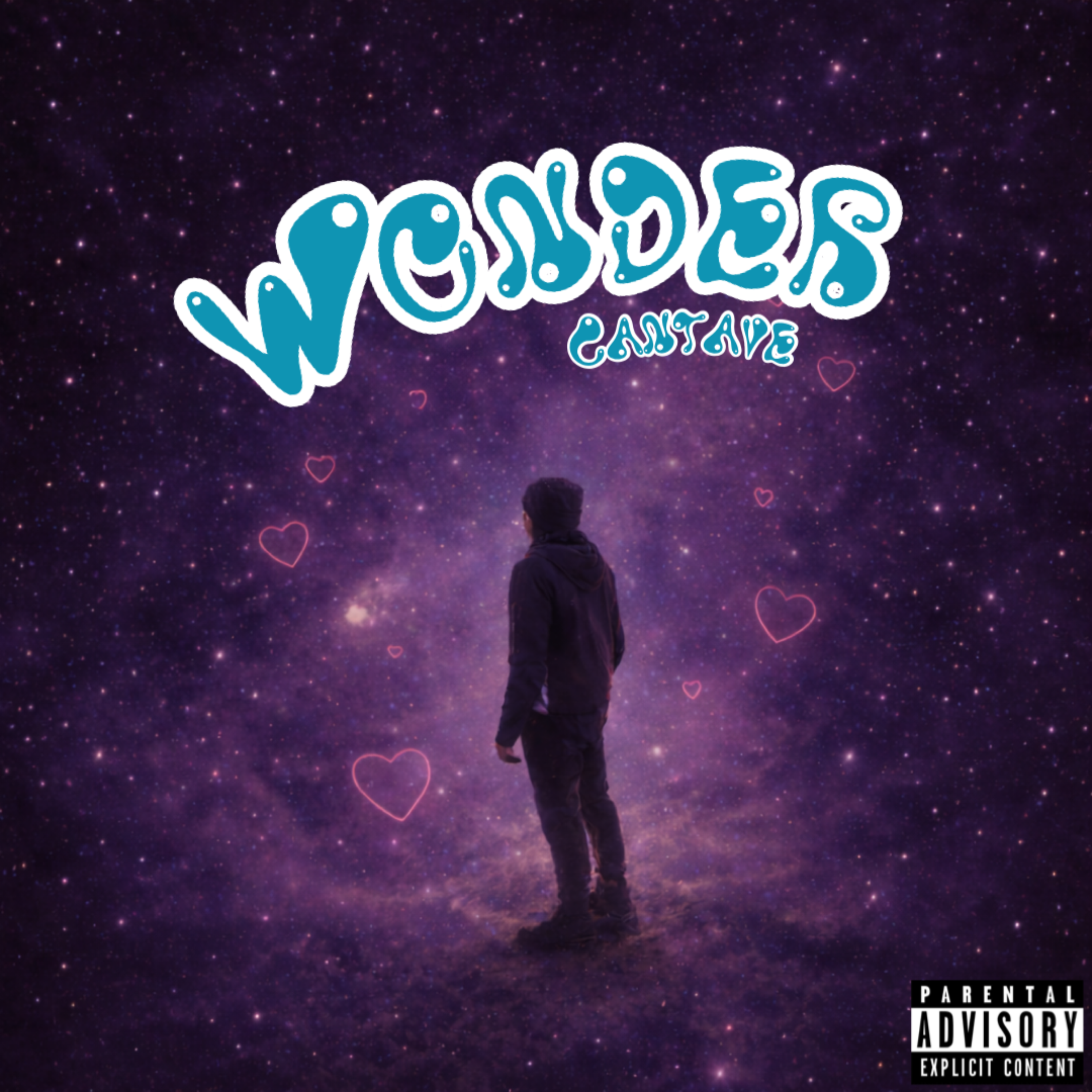 WONDER artwork