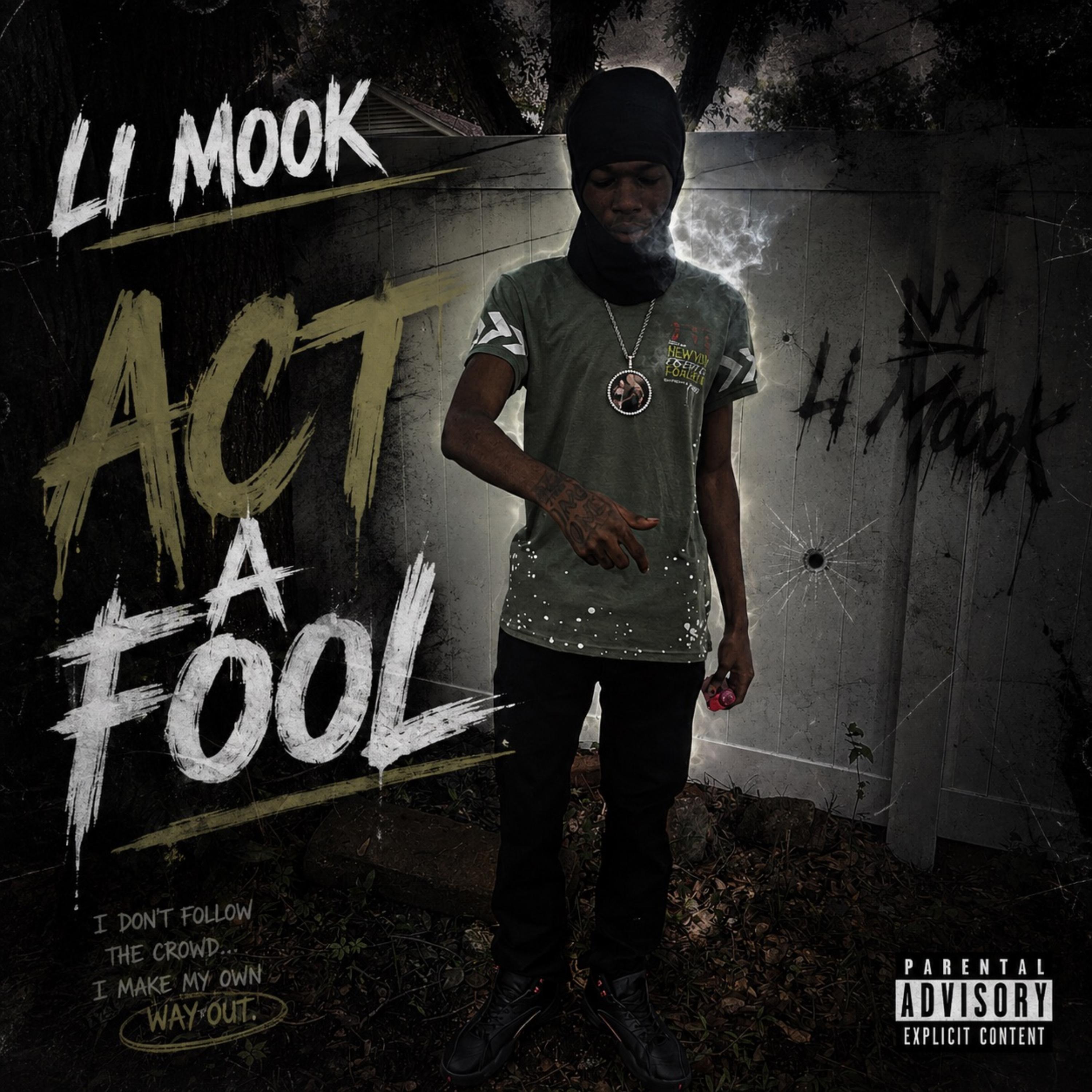 Act A Fool by Li Mook cover art