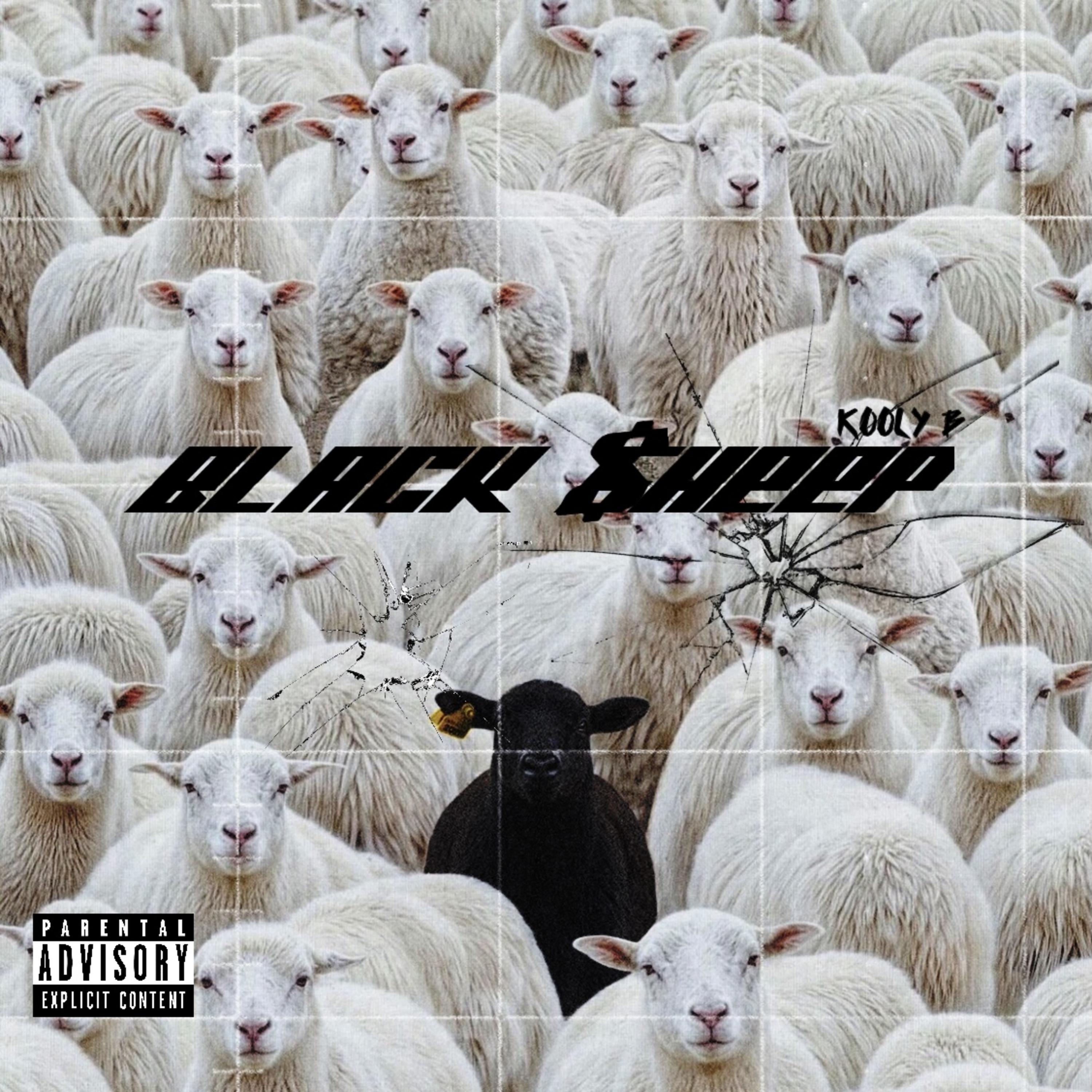 Black $heep artwork