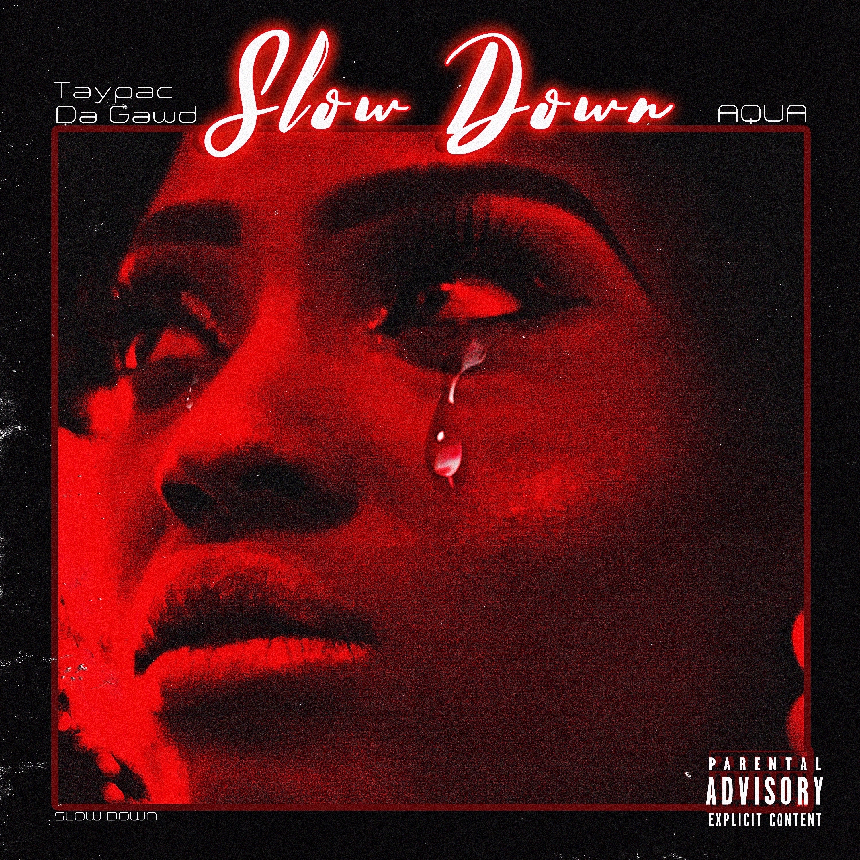 Slow Down! artwork
