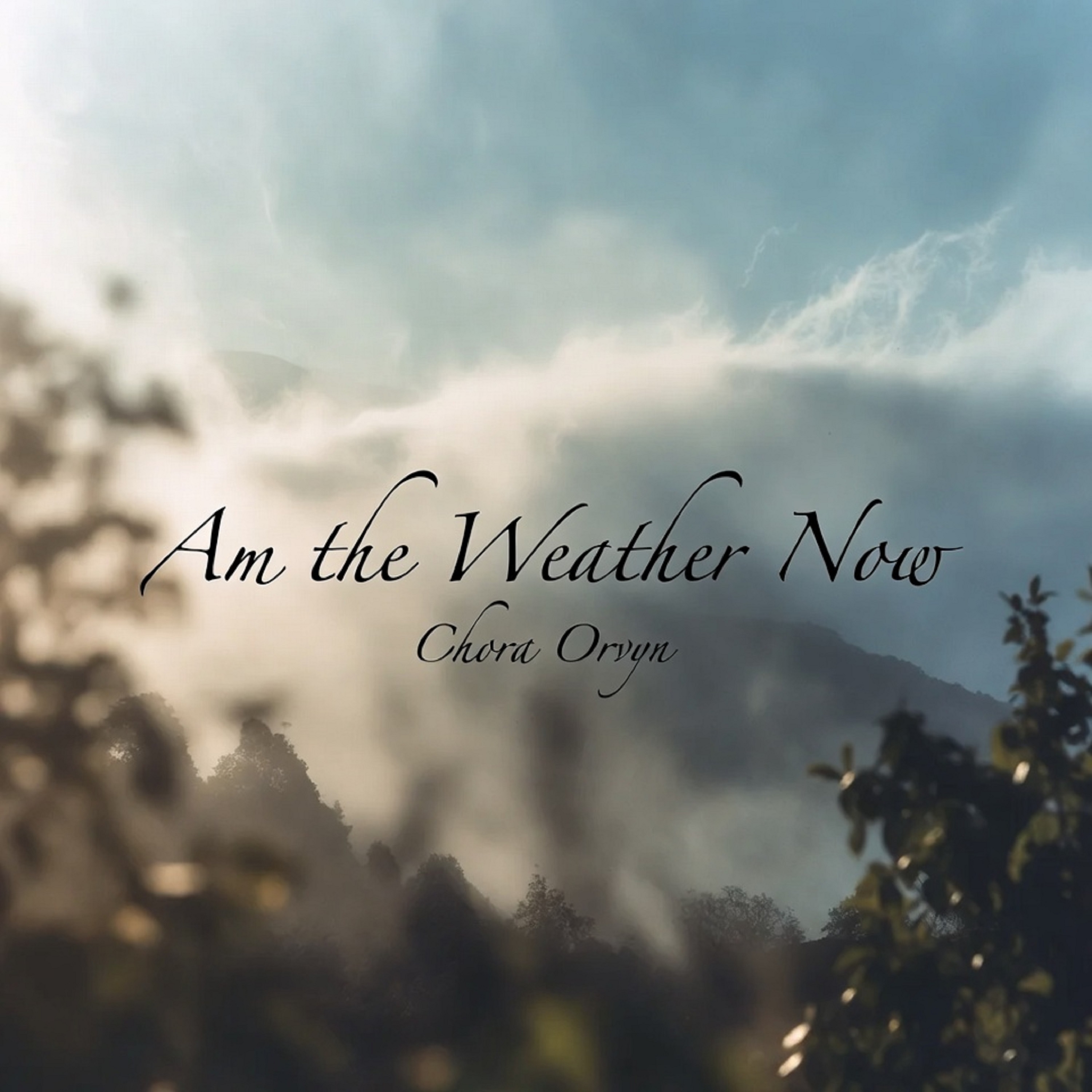 Am the Weather Now artwork