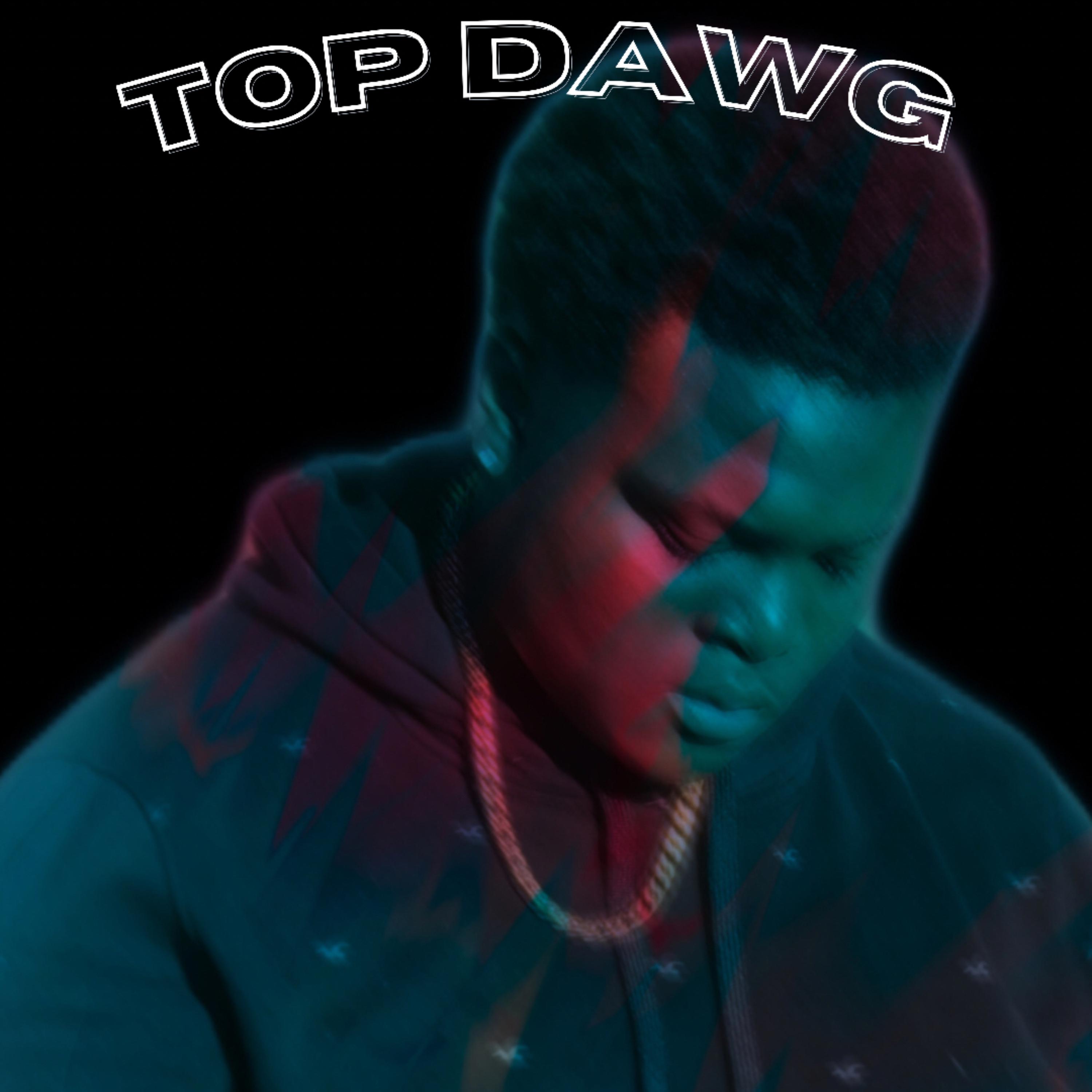 TOP DAWG artwork