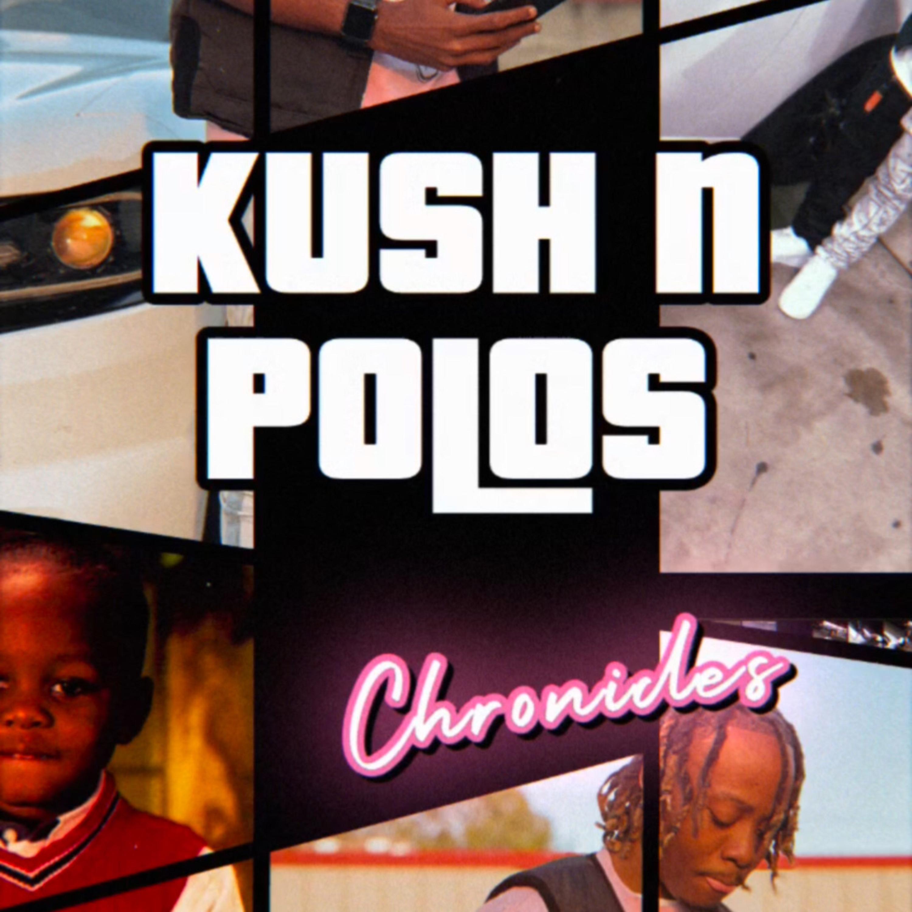 Chronicles Vol .1 by Kushnpolos cover art
