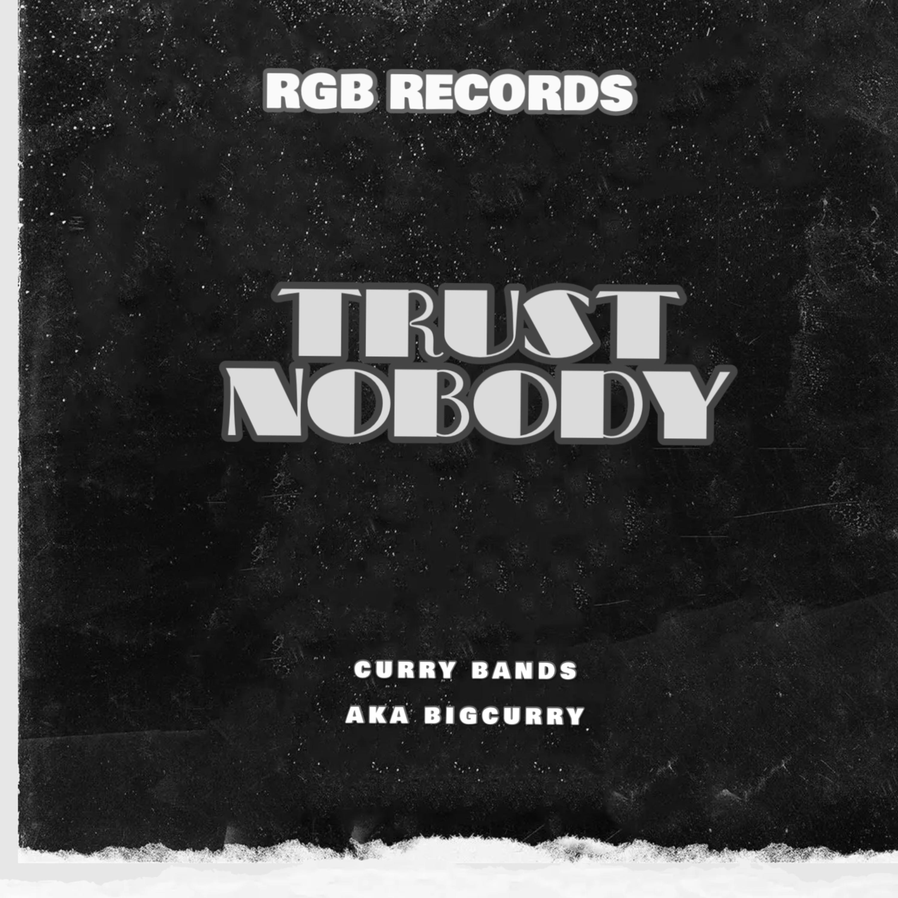 Trust Nobody artwork