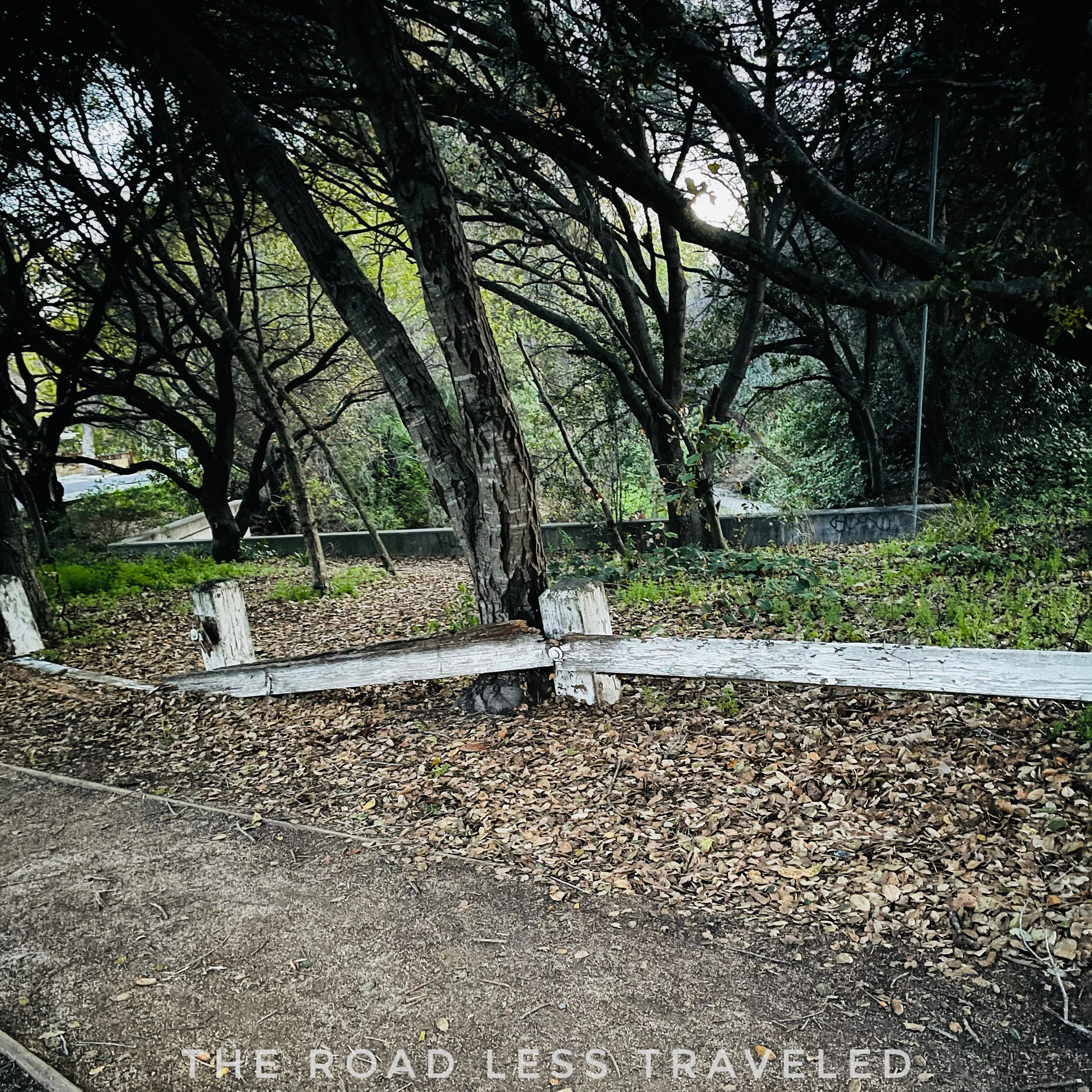 The Road Less Traveled artwork