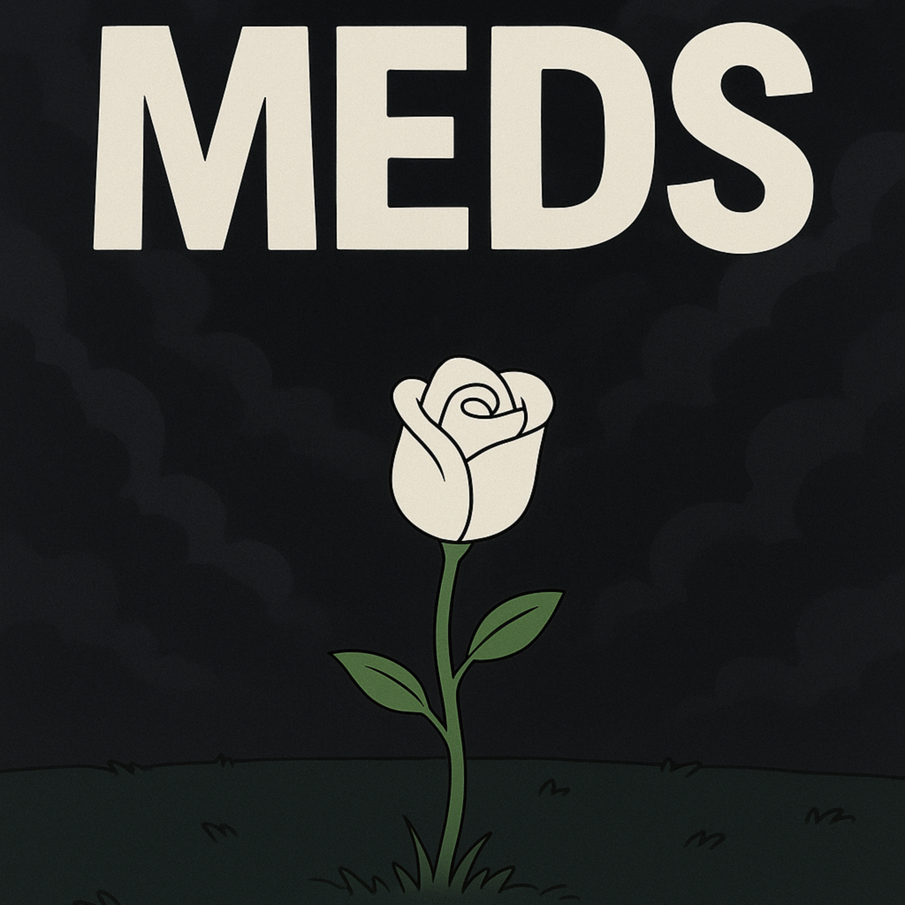 MEDS artwork