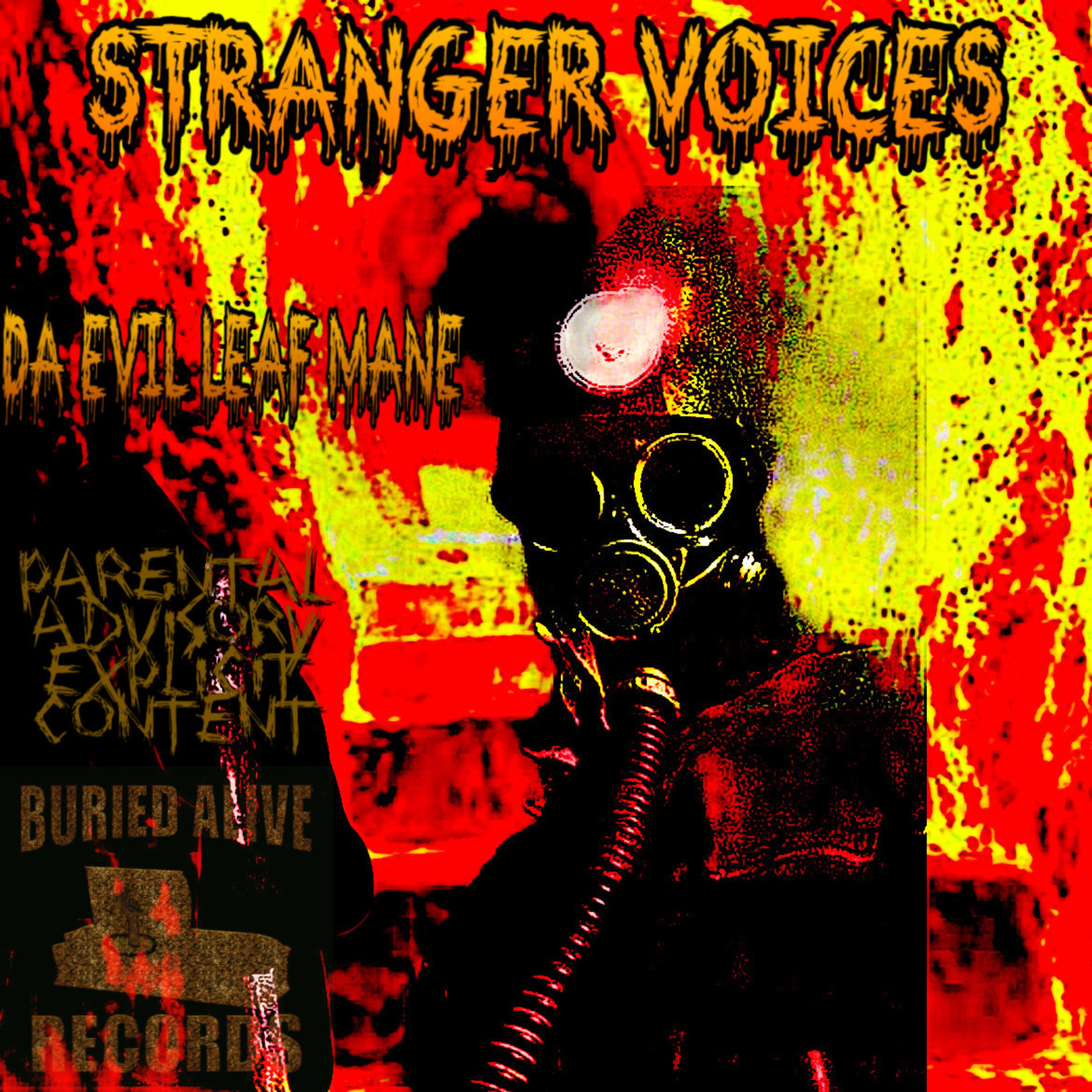 STRANGER VOICES artwork