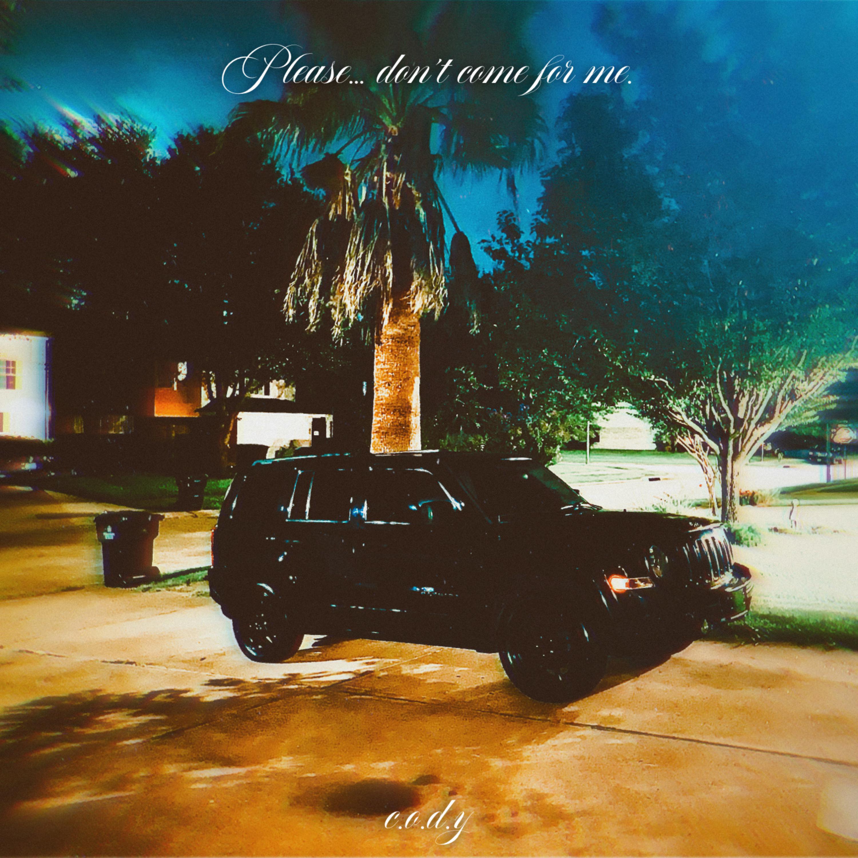 Please Don't Come For Me artwork