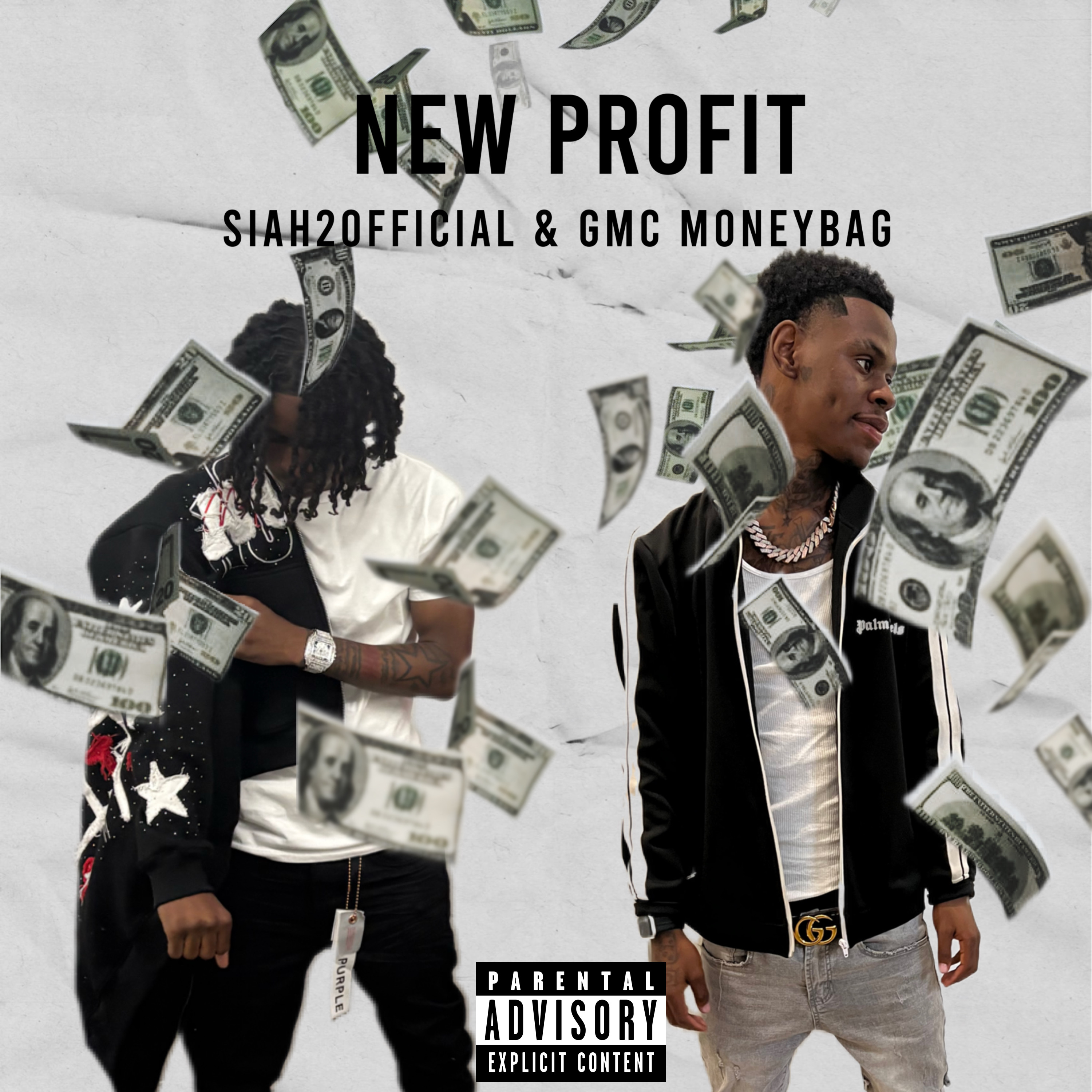 NEW PROFIT artwork