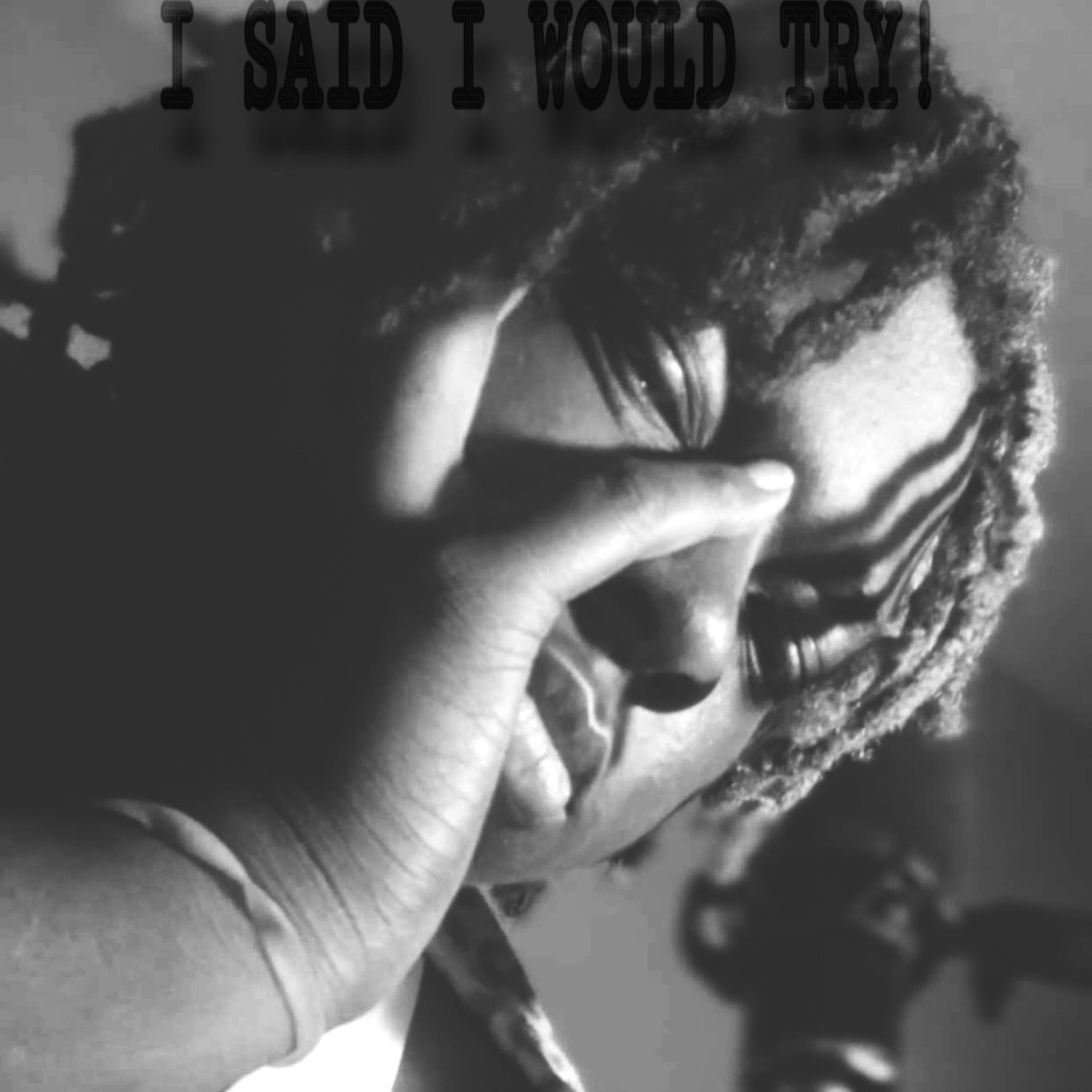 I SAID I WOULD TRY! artwork