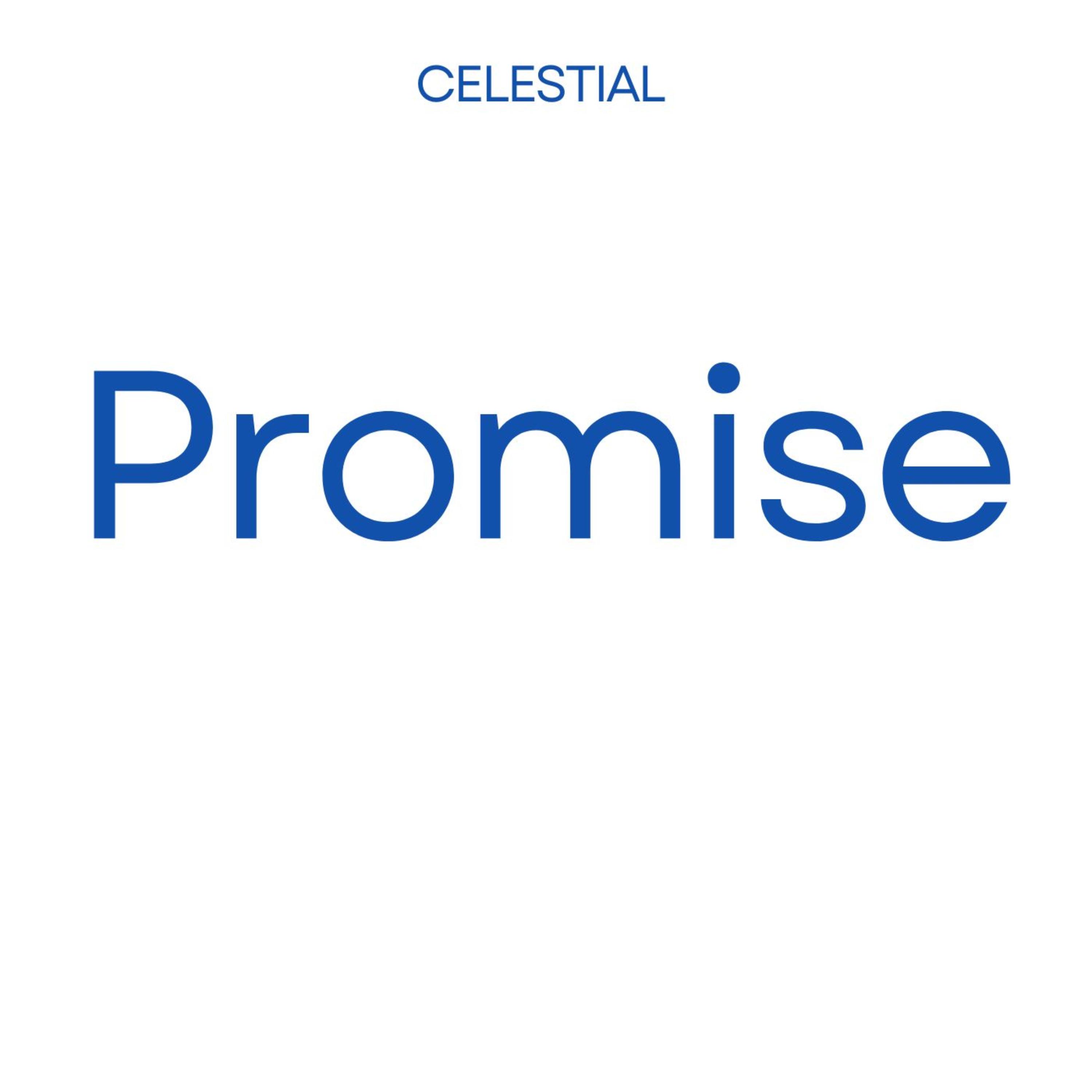 Promise artwork
