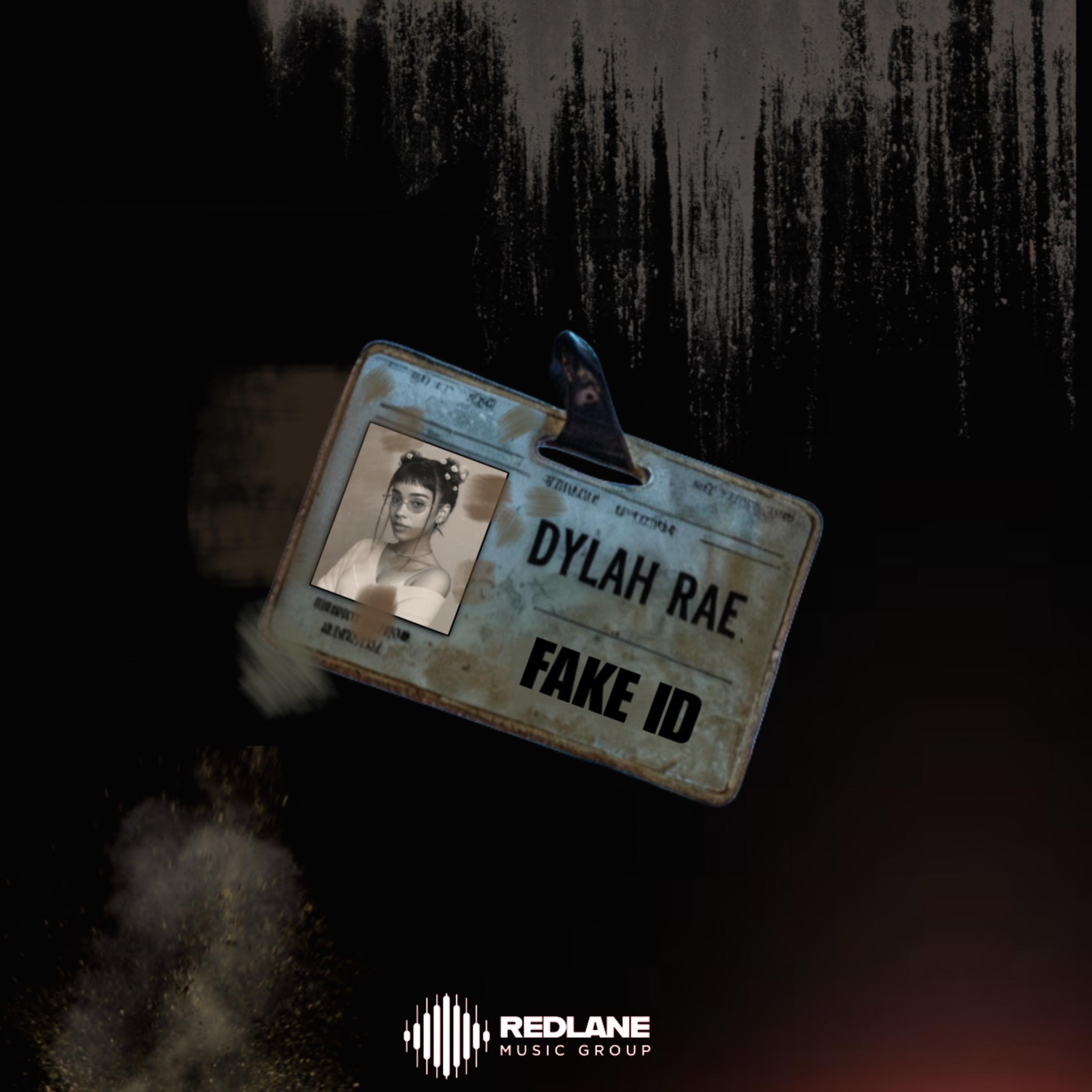 Fake Id artwork