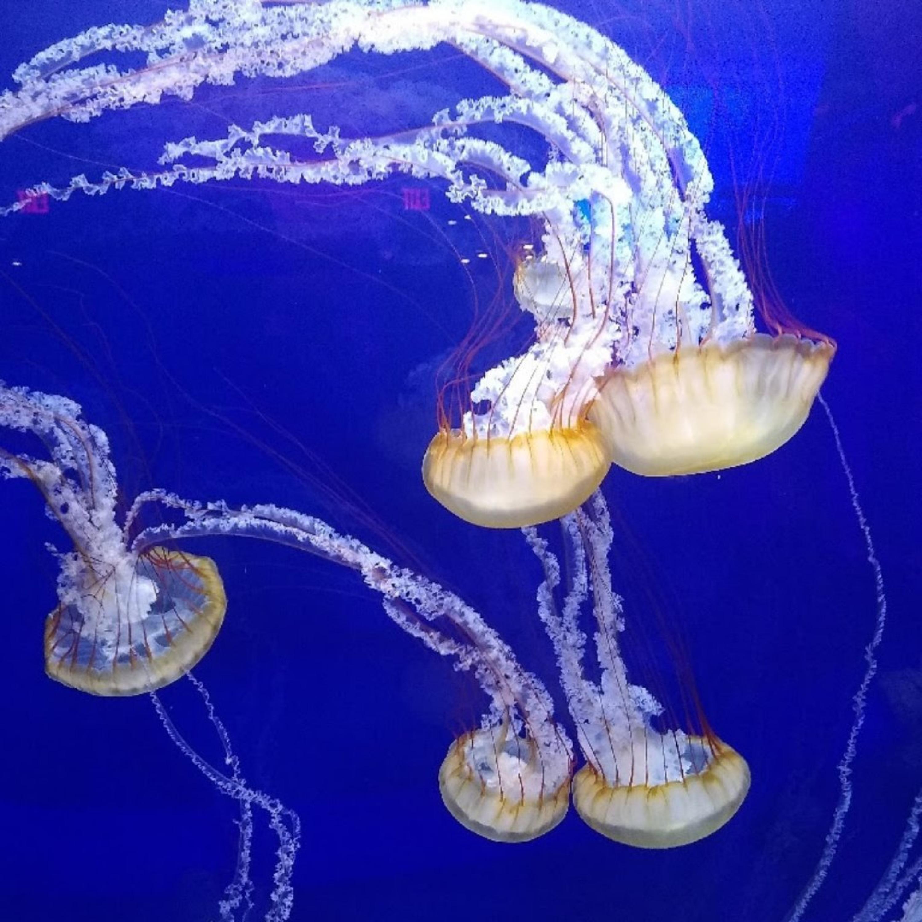 Where Are We Now artwork