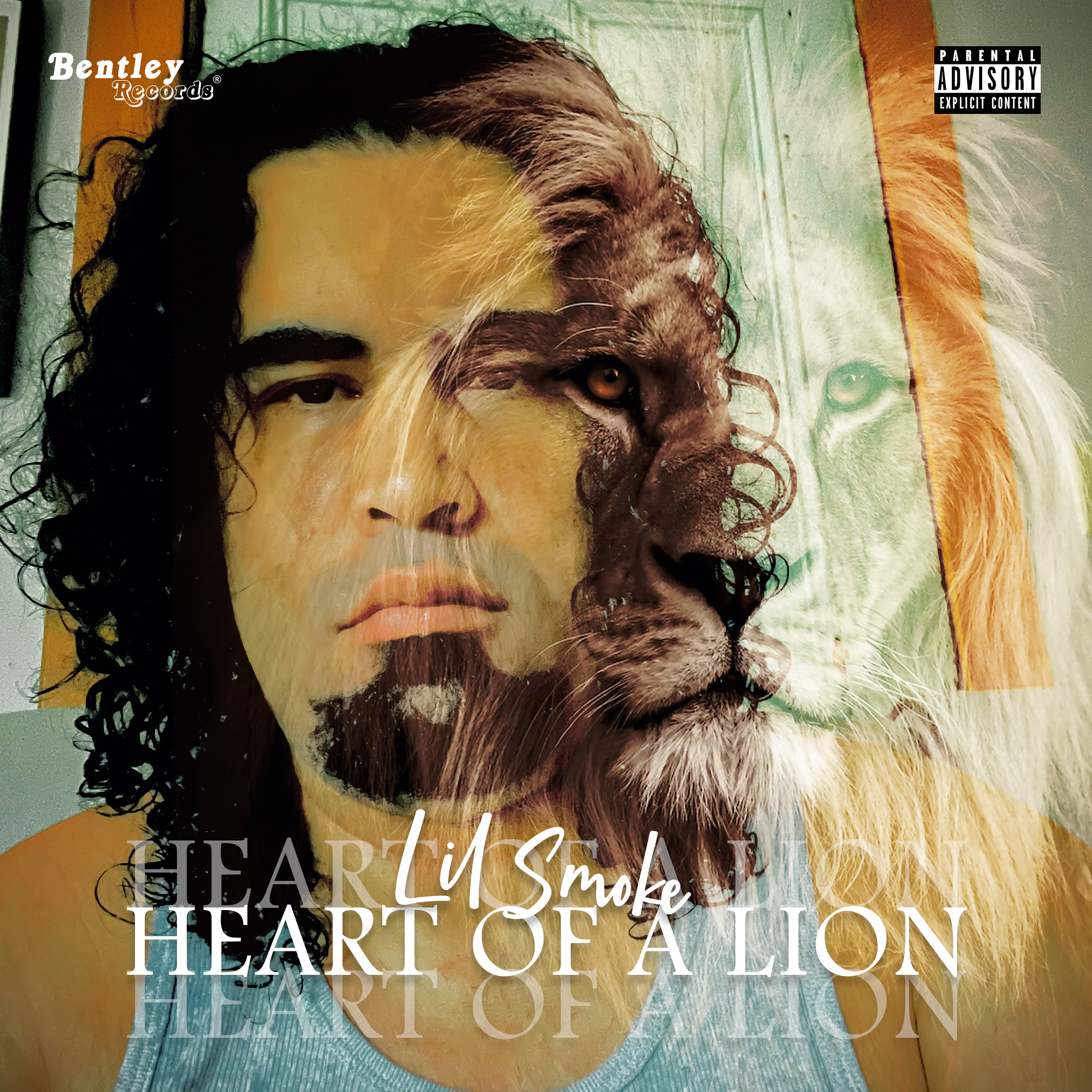 Heart Of A Lion artwork