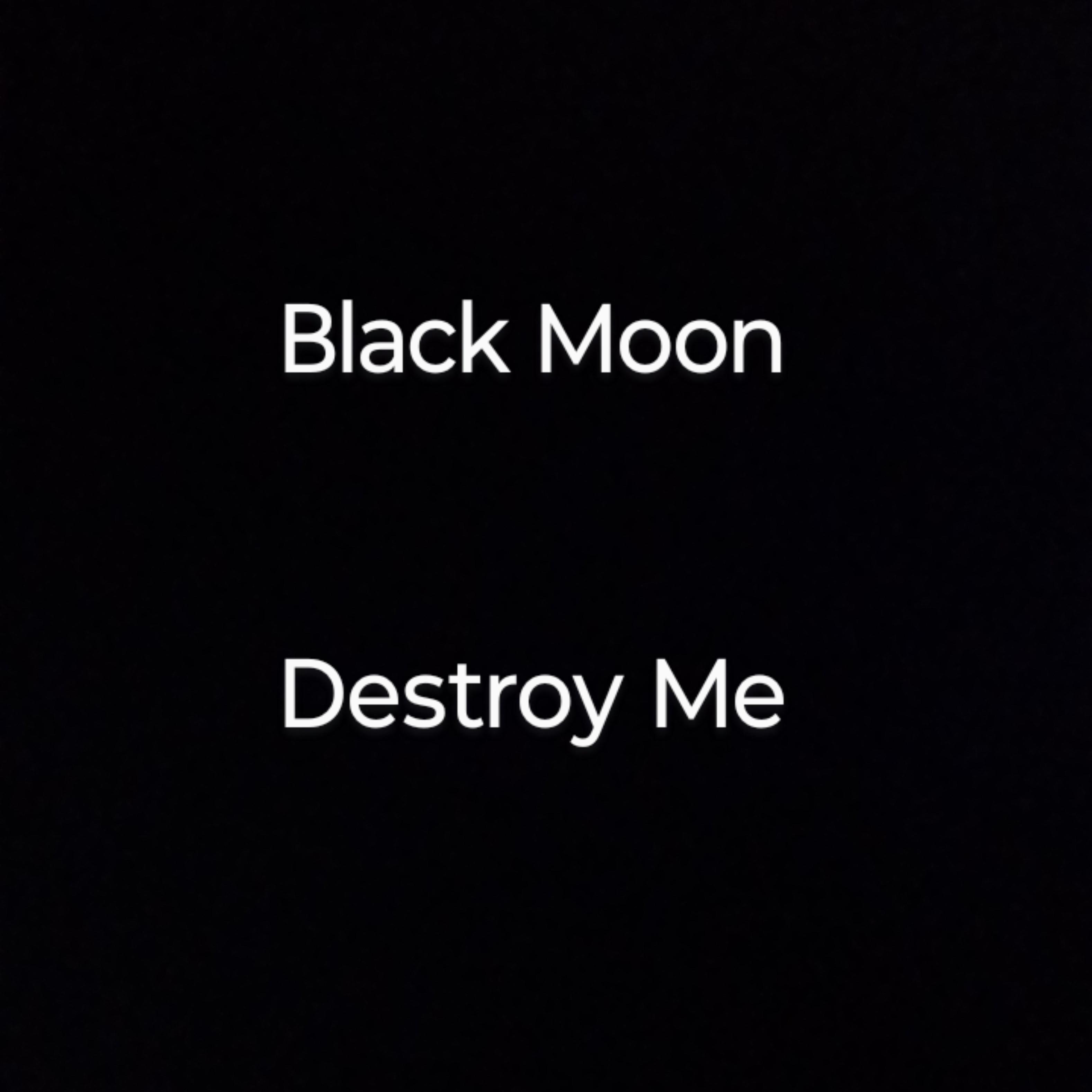 Destroy Me artwork