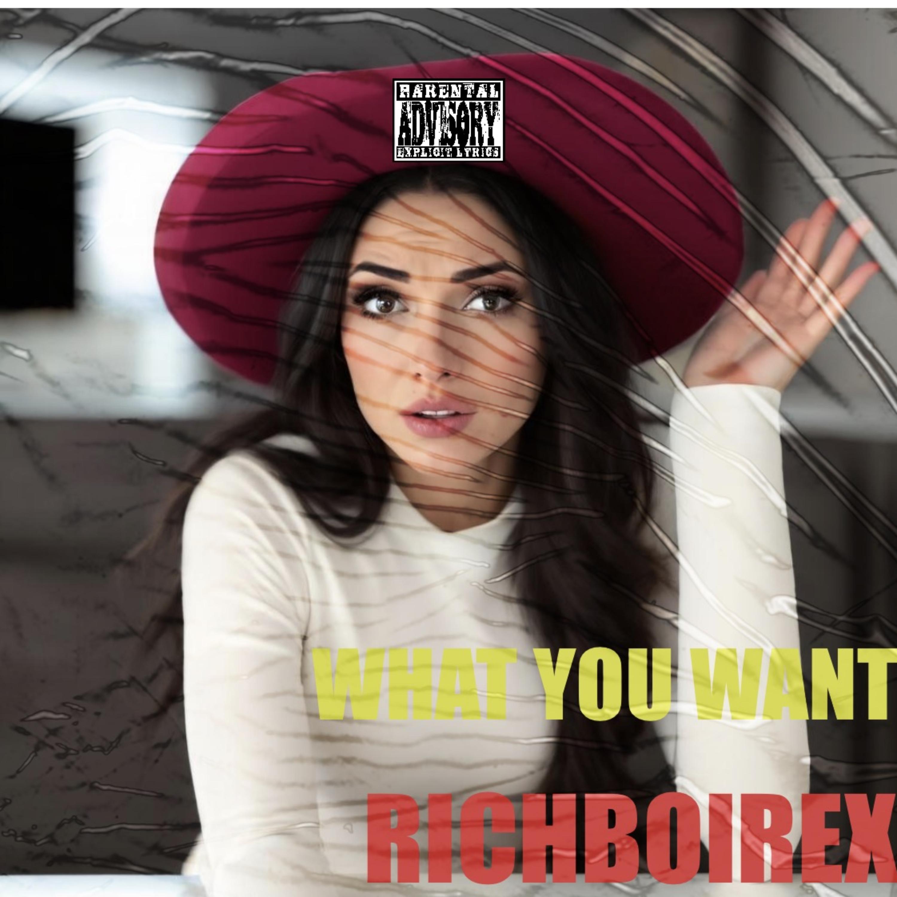 What You Want artwork