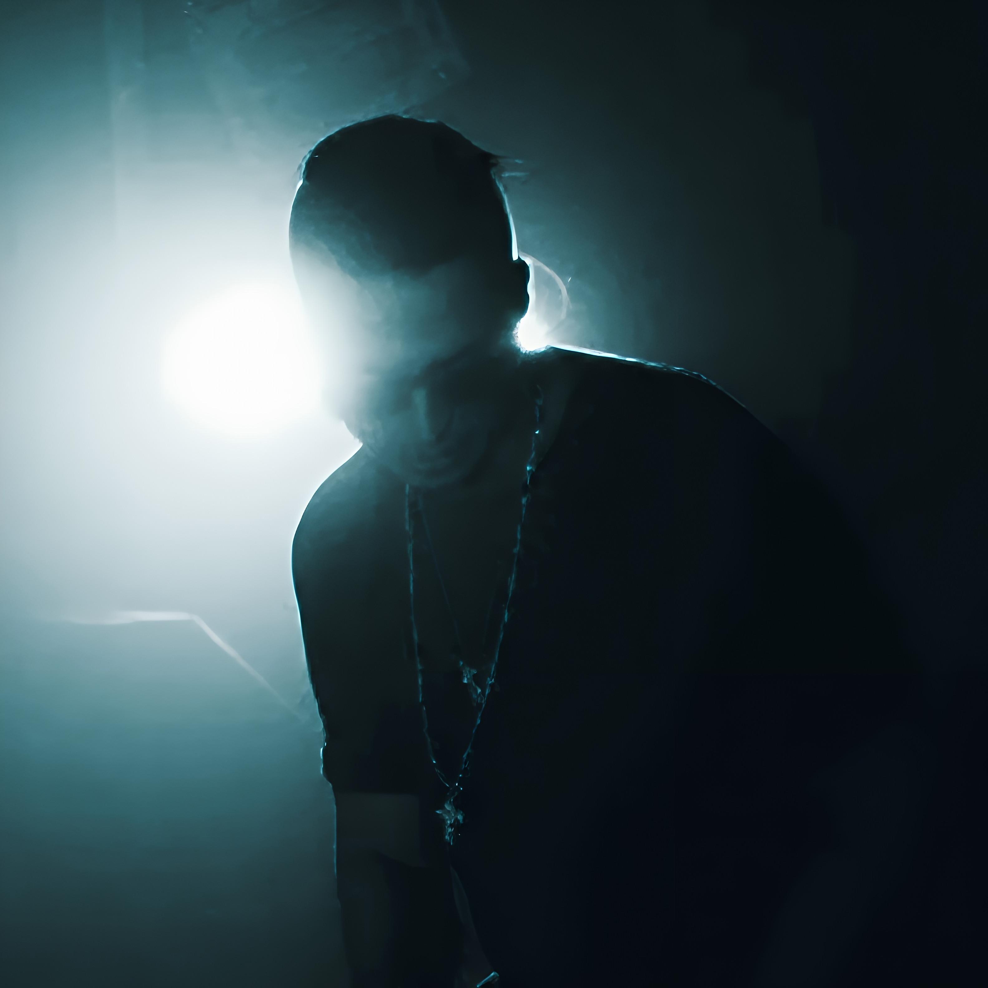 Fler & Saad Lichtermeer artwork