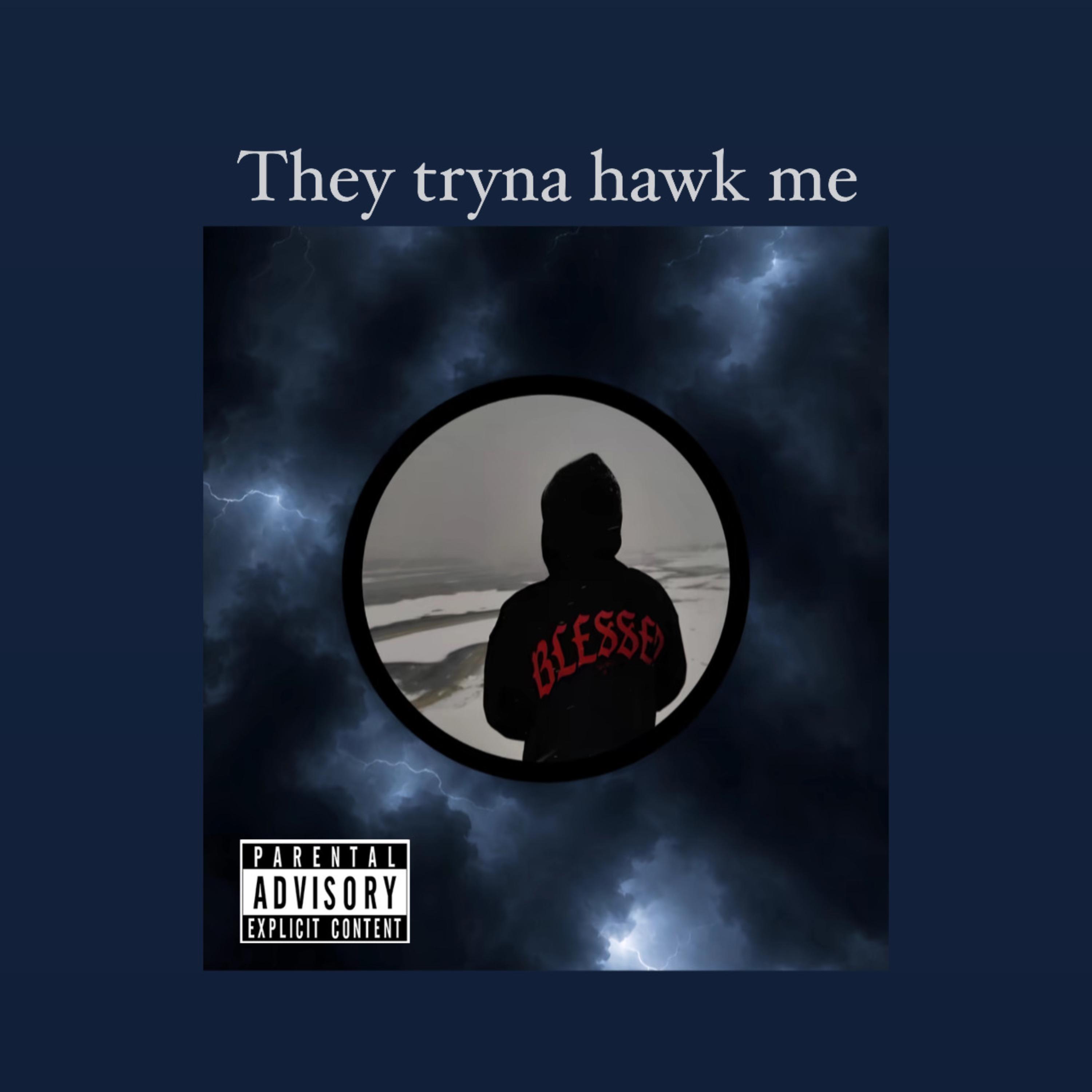They Tryna Hawk Me by Lost Bamp cover art