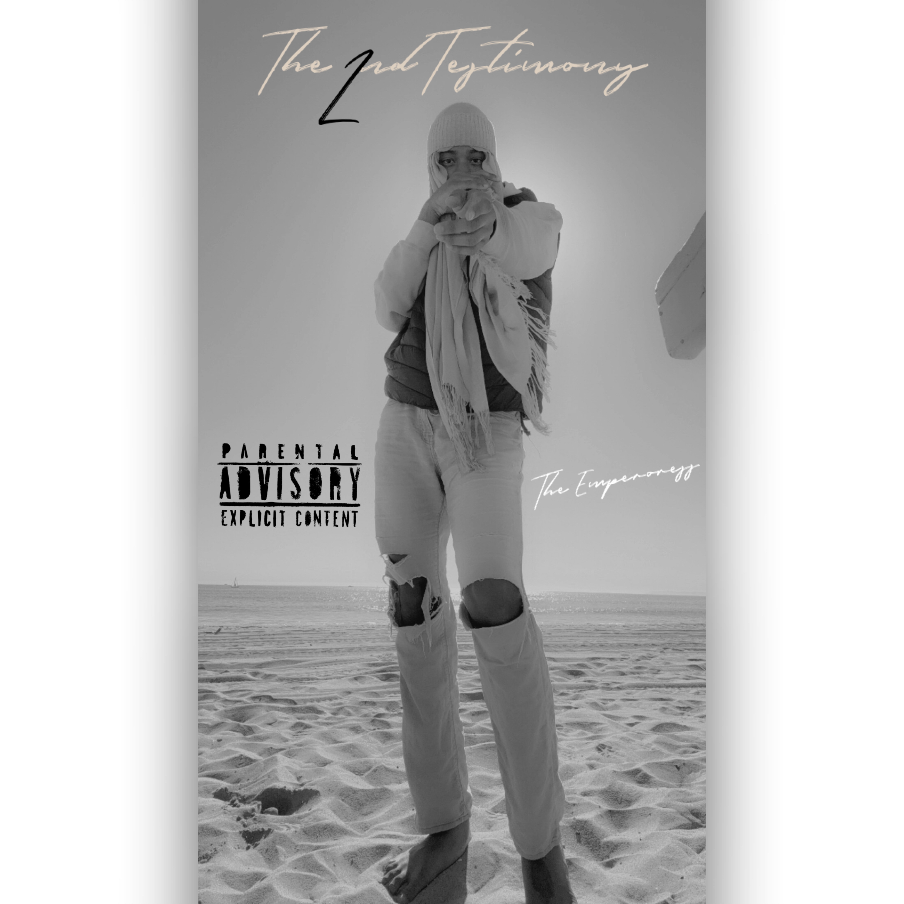 THE 2ND TESTIMONY artwork