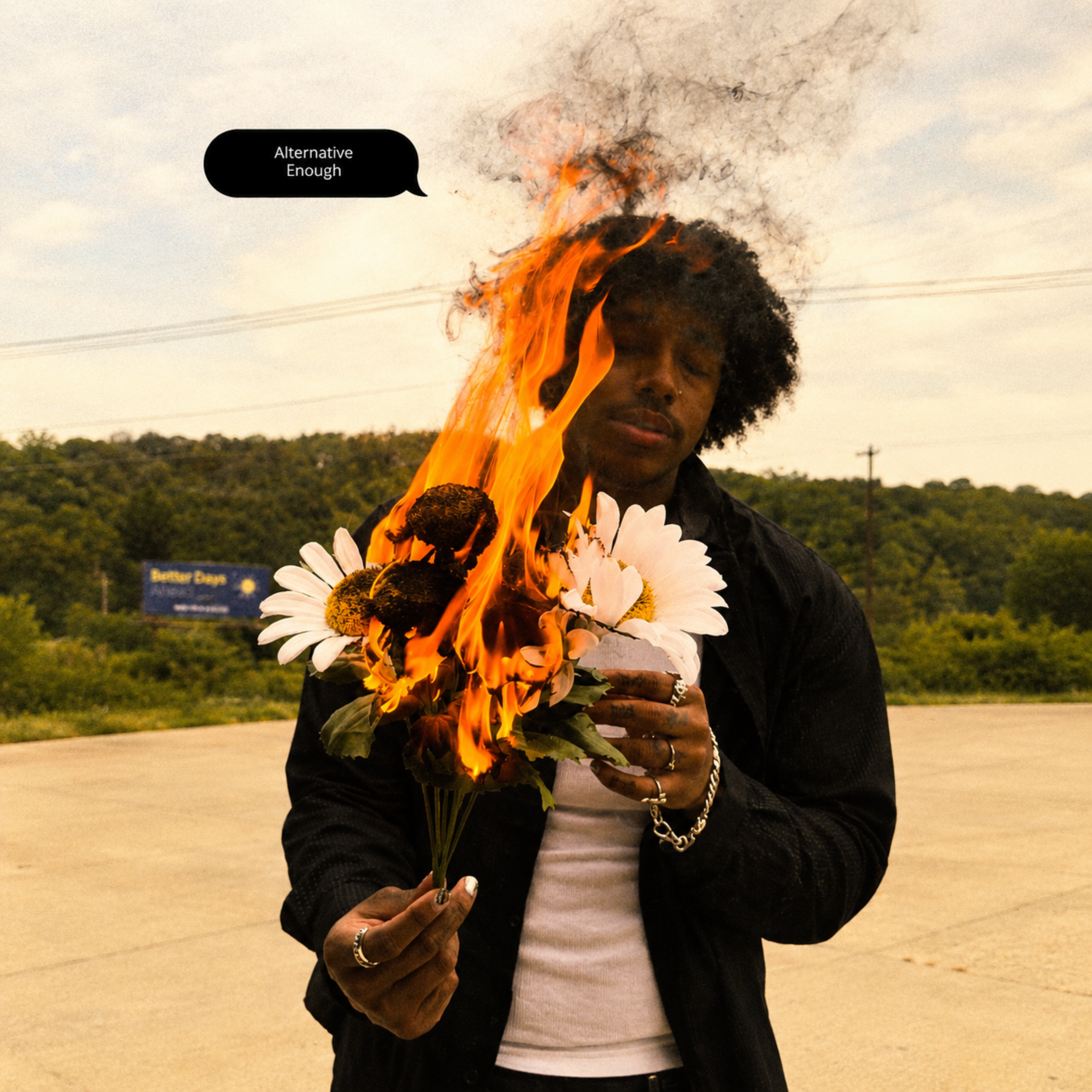 Alternative enough by $how cover art