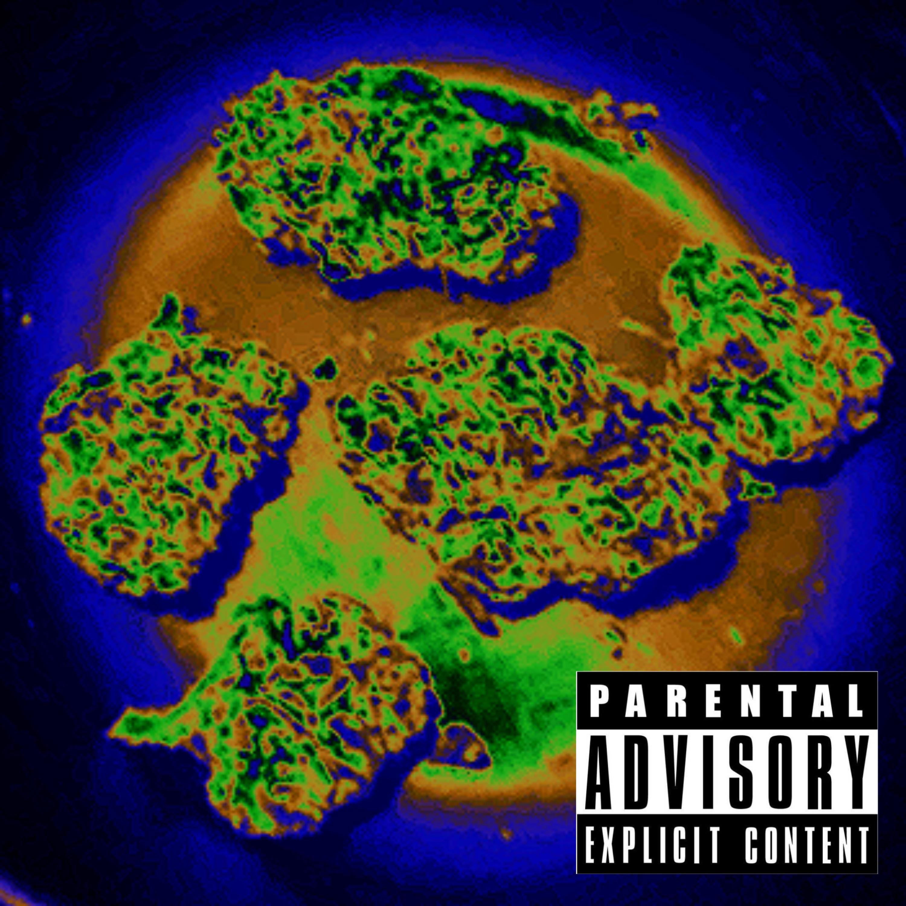 Rock Bottom by Blind Essence cover art