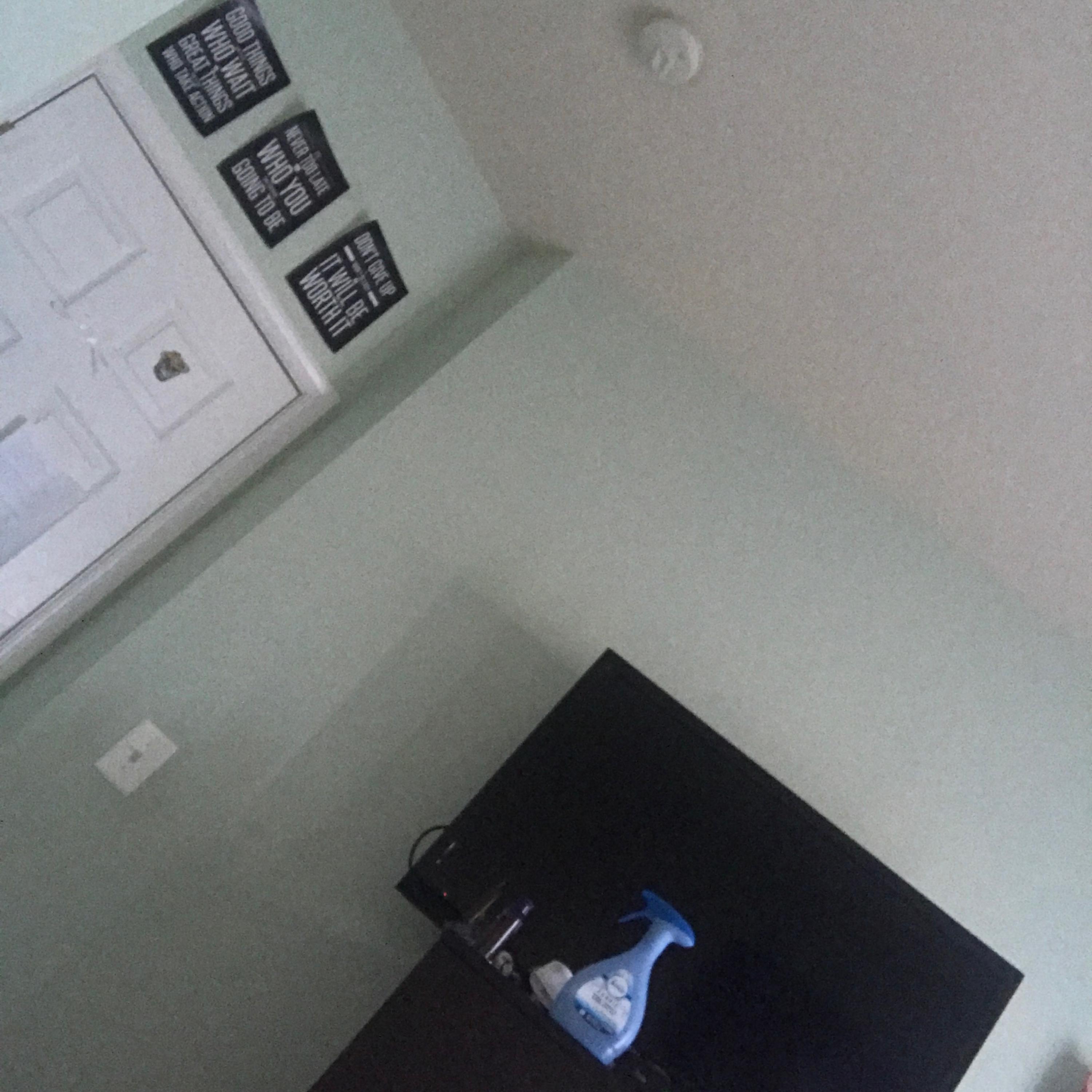 Never is Forever artwork