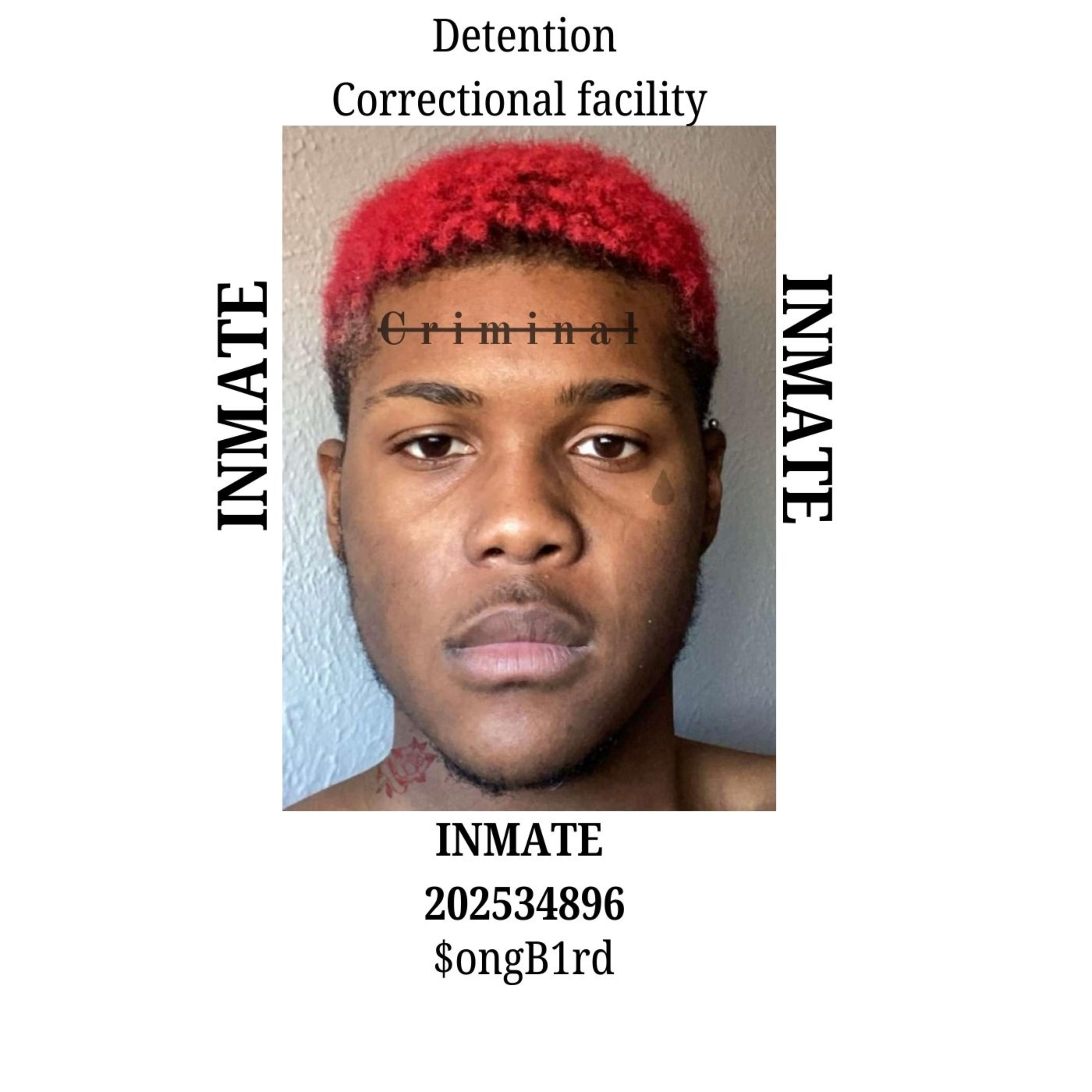 Criminal artwork