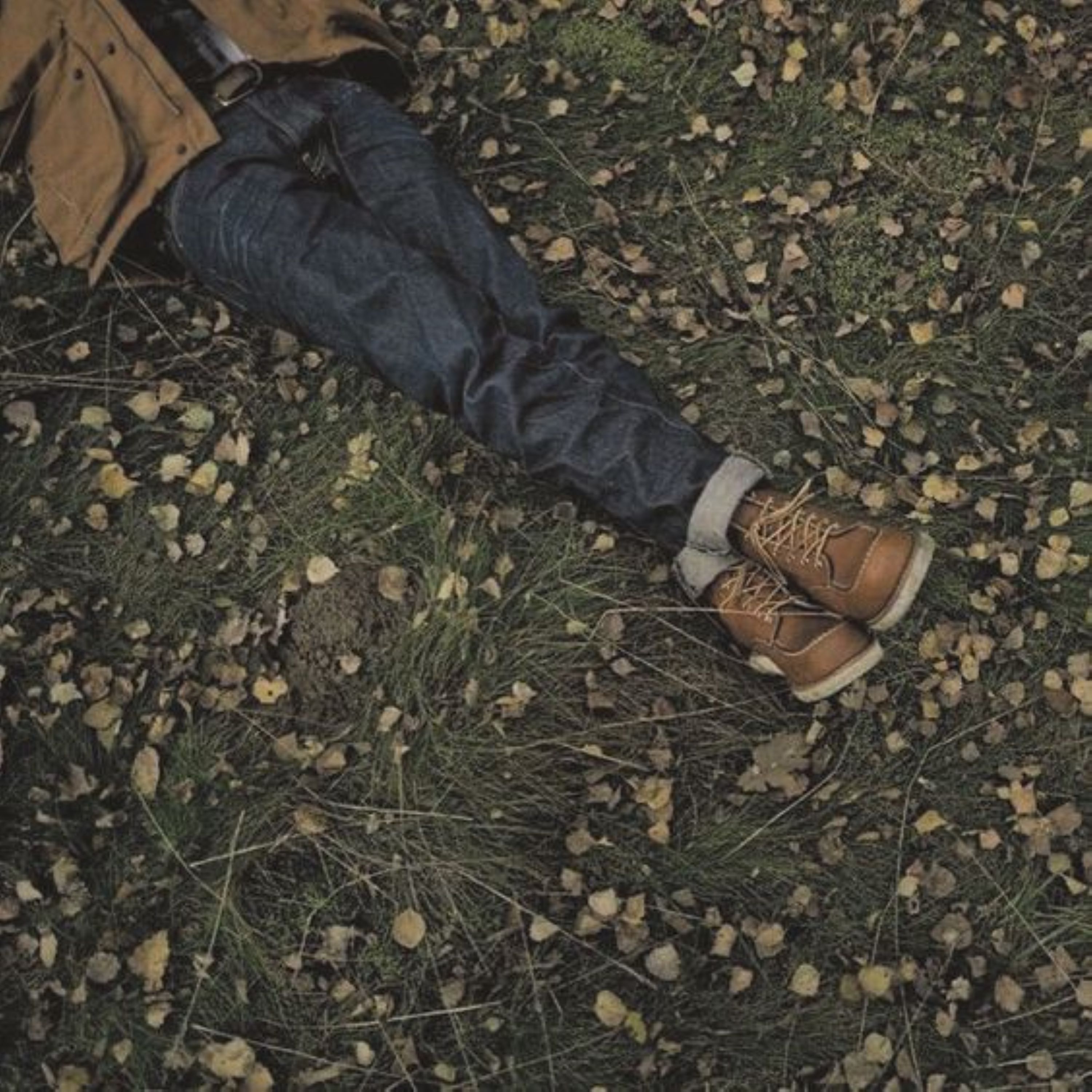 autumn asleep artwork