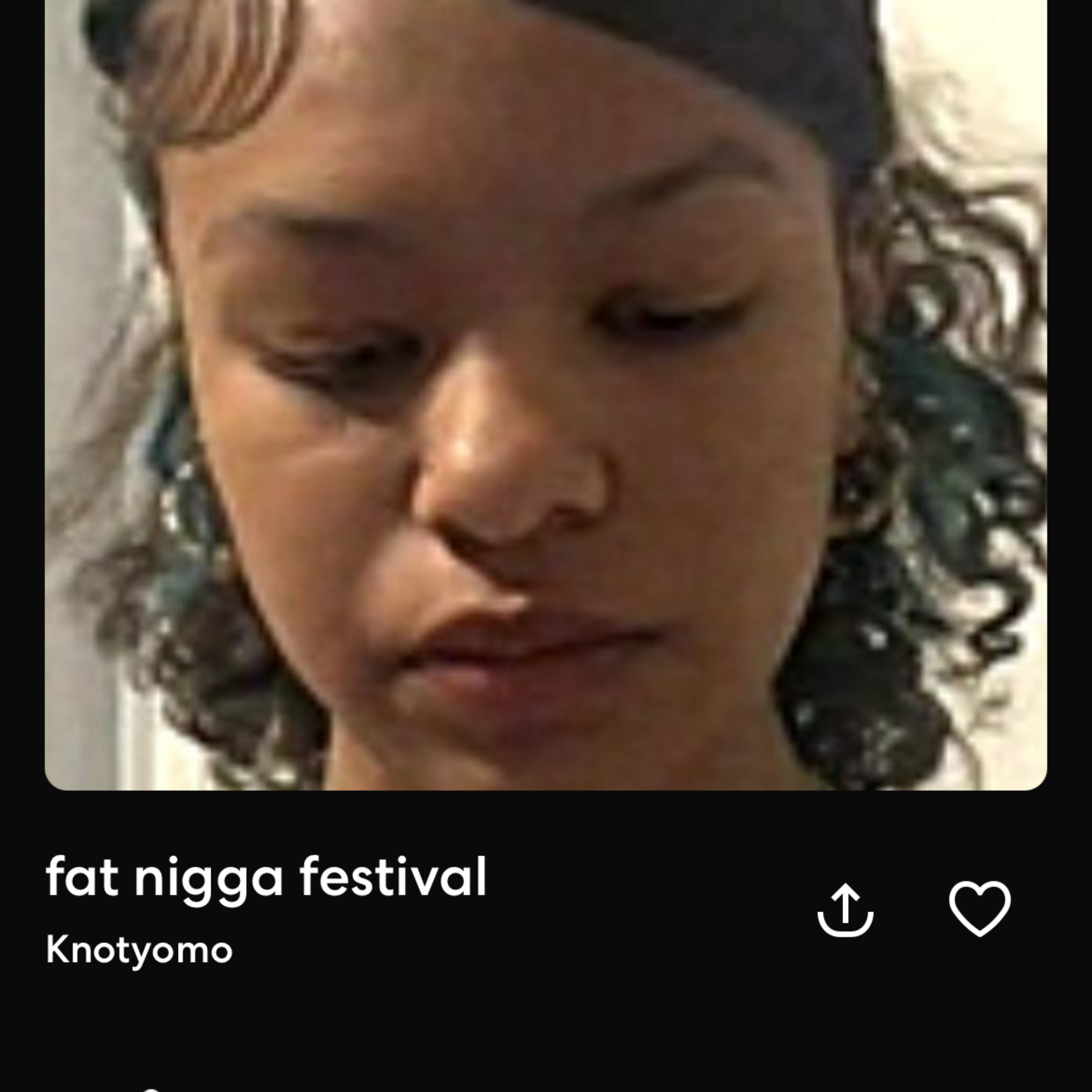 Fat Nigga Festival artwork