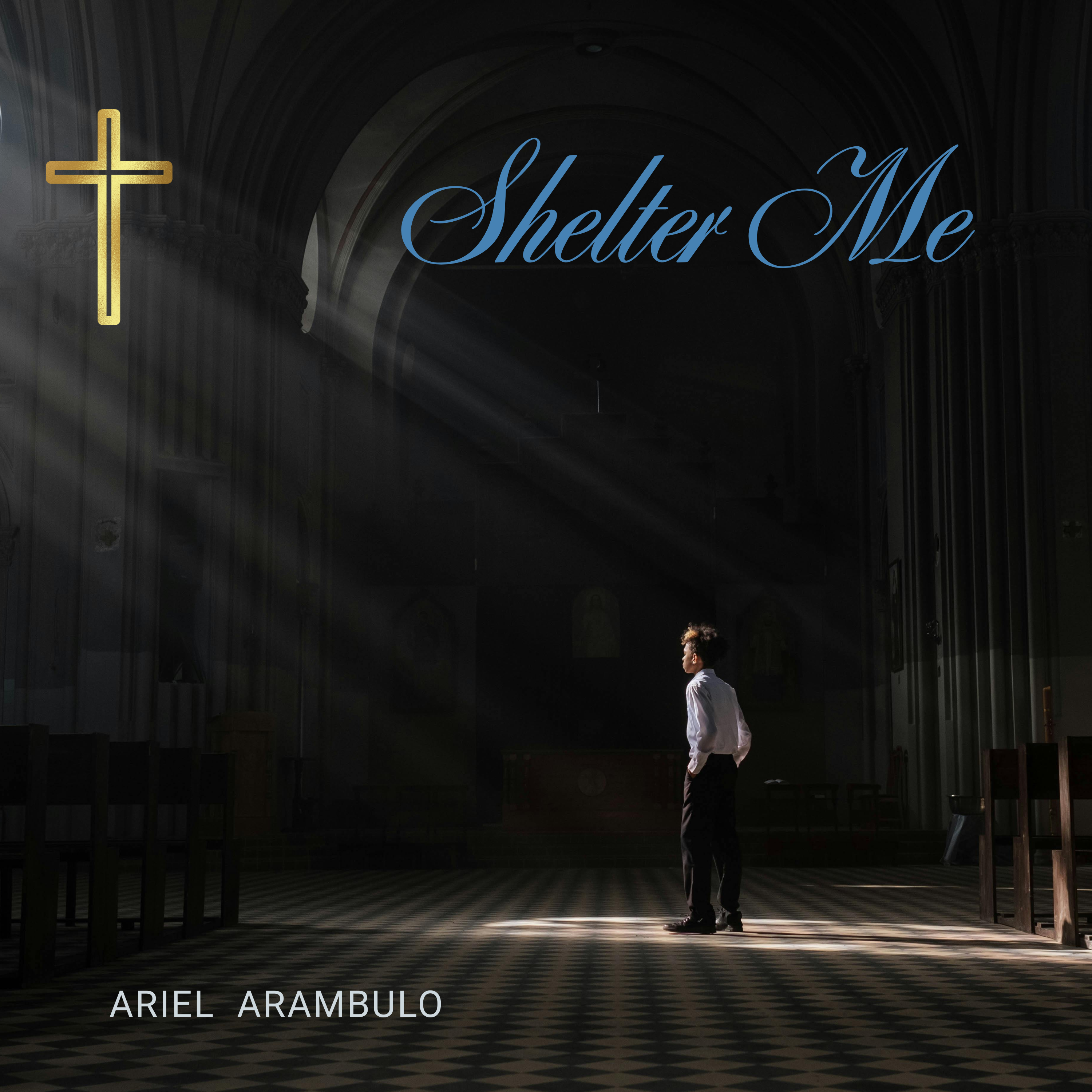 SHELTER ME artwork