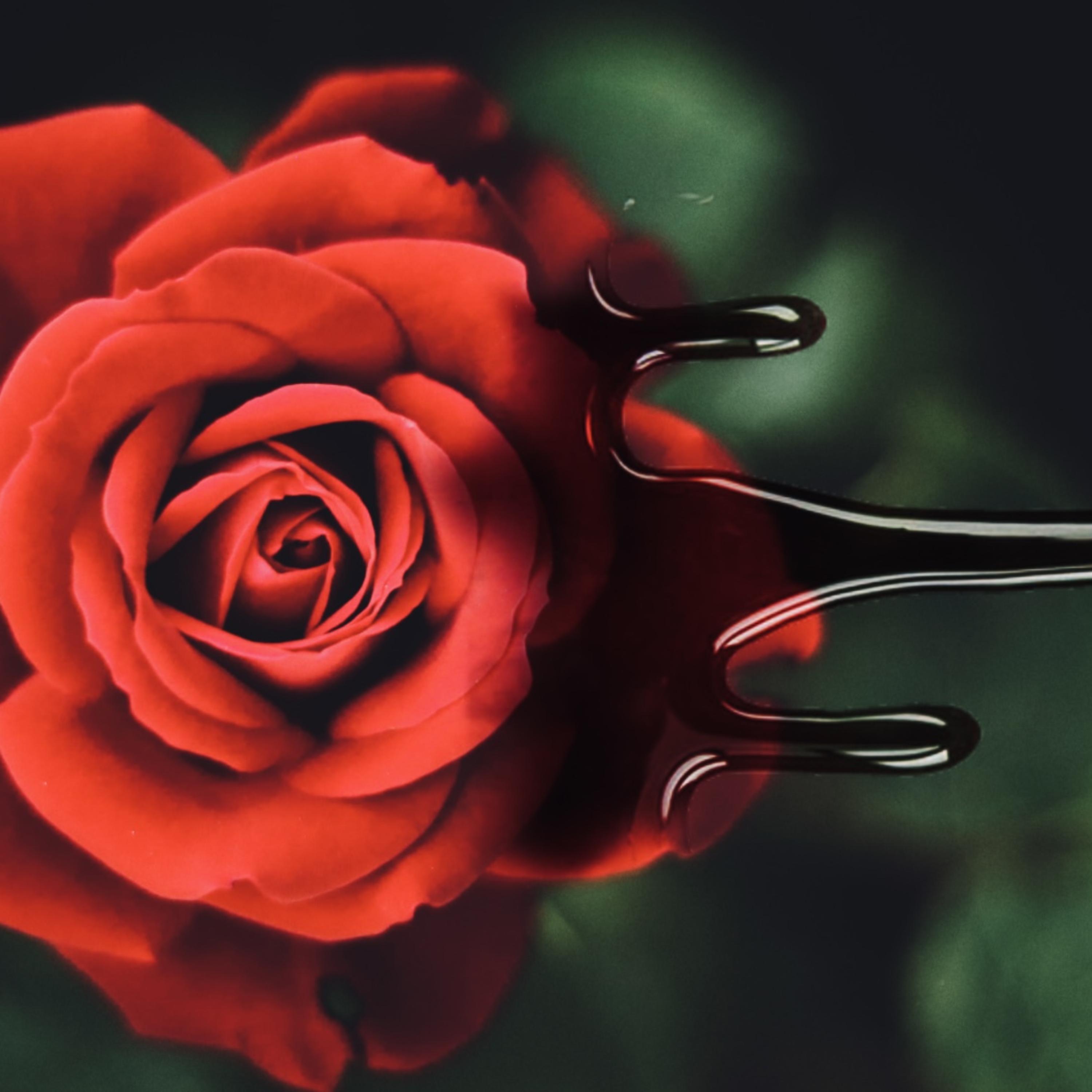 EveryimFine 1.mp3 artwork