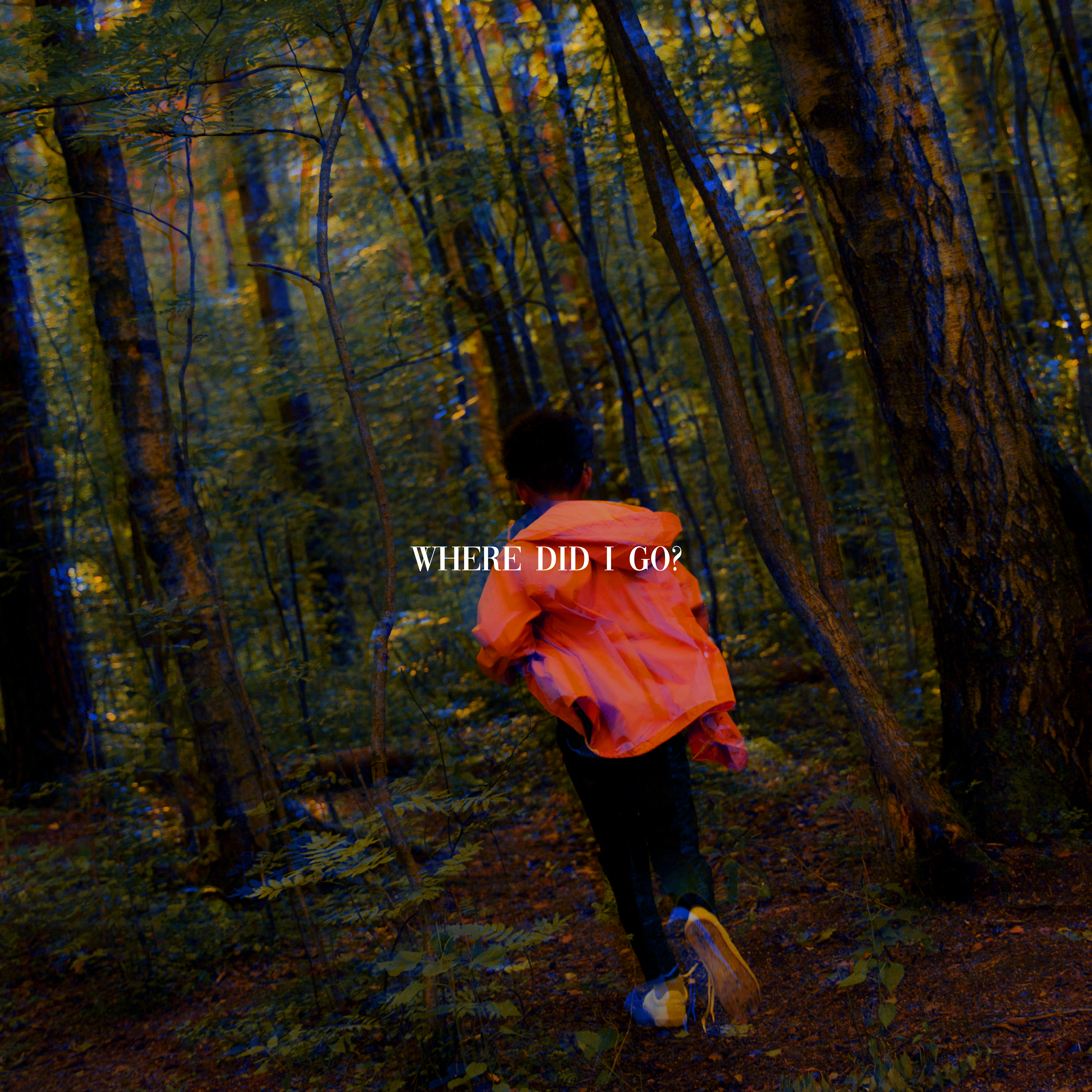 Where Did I Go? artwork