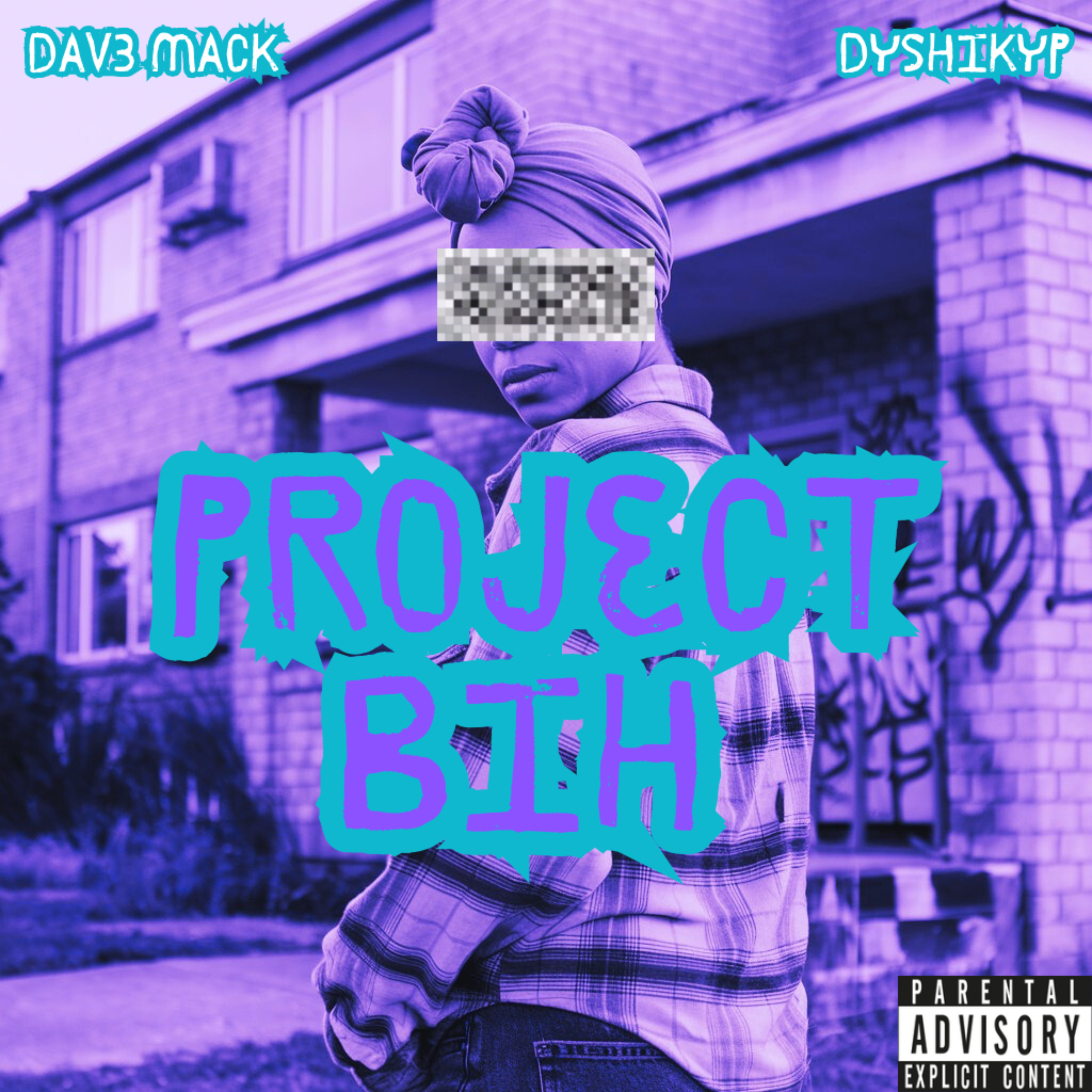 Project Bih artwork