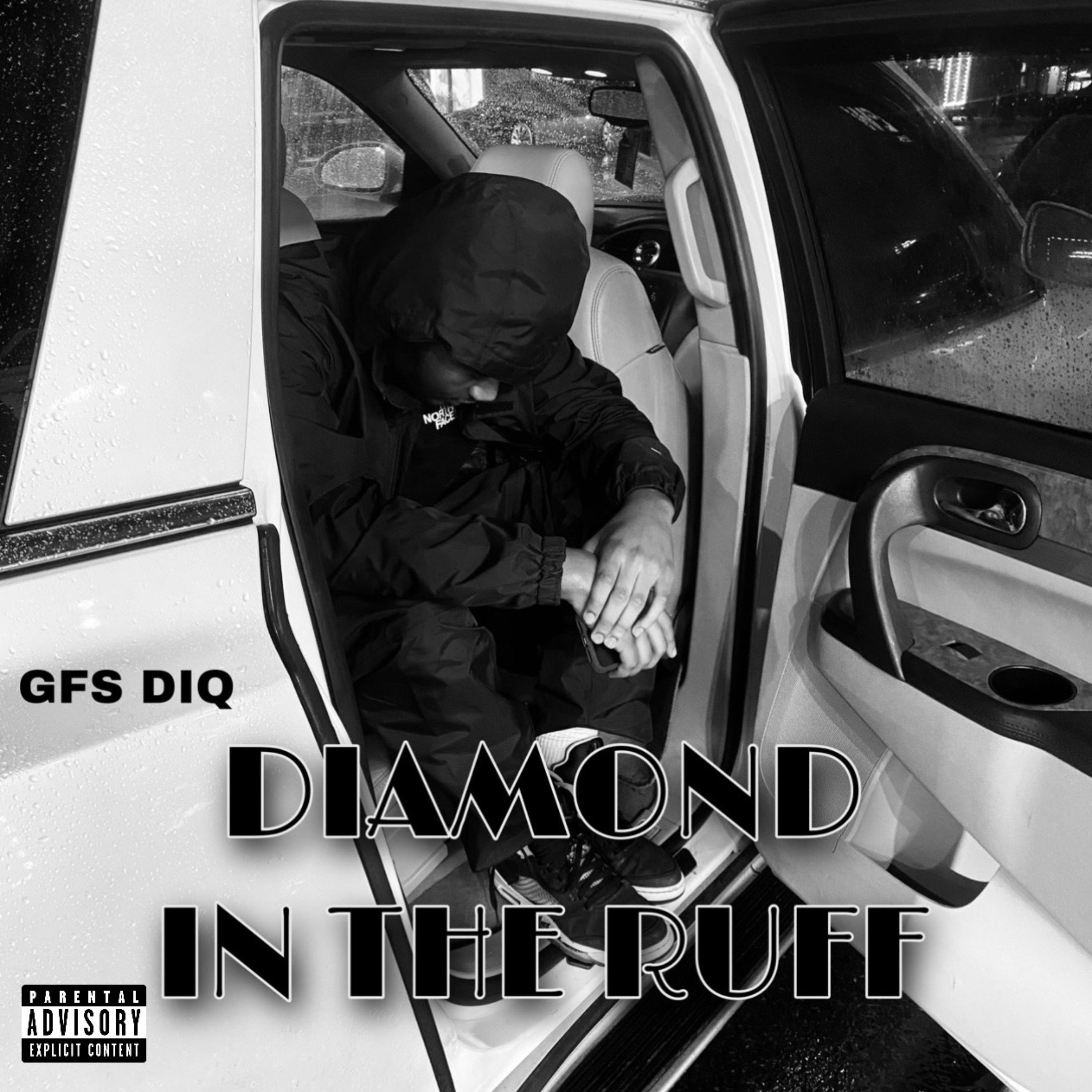 Diamond In The Ruff  artwork