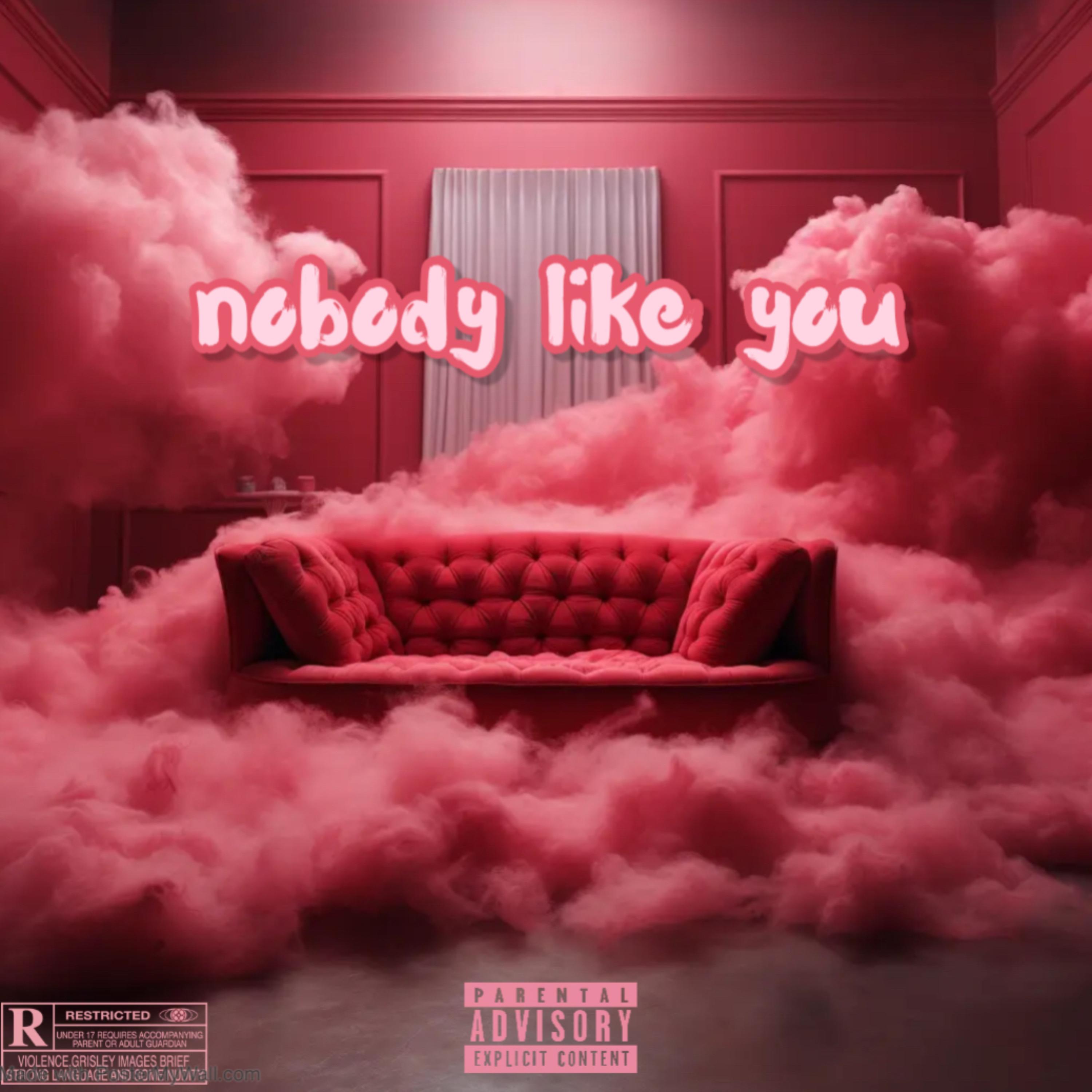 Nobody Like You artwork