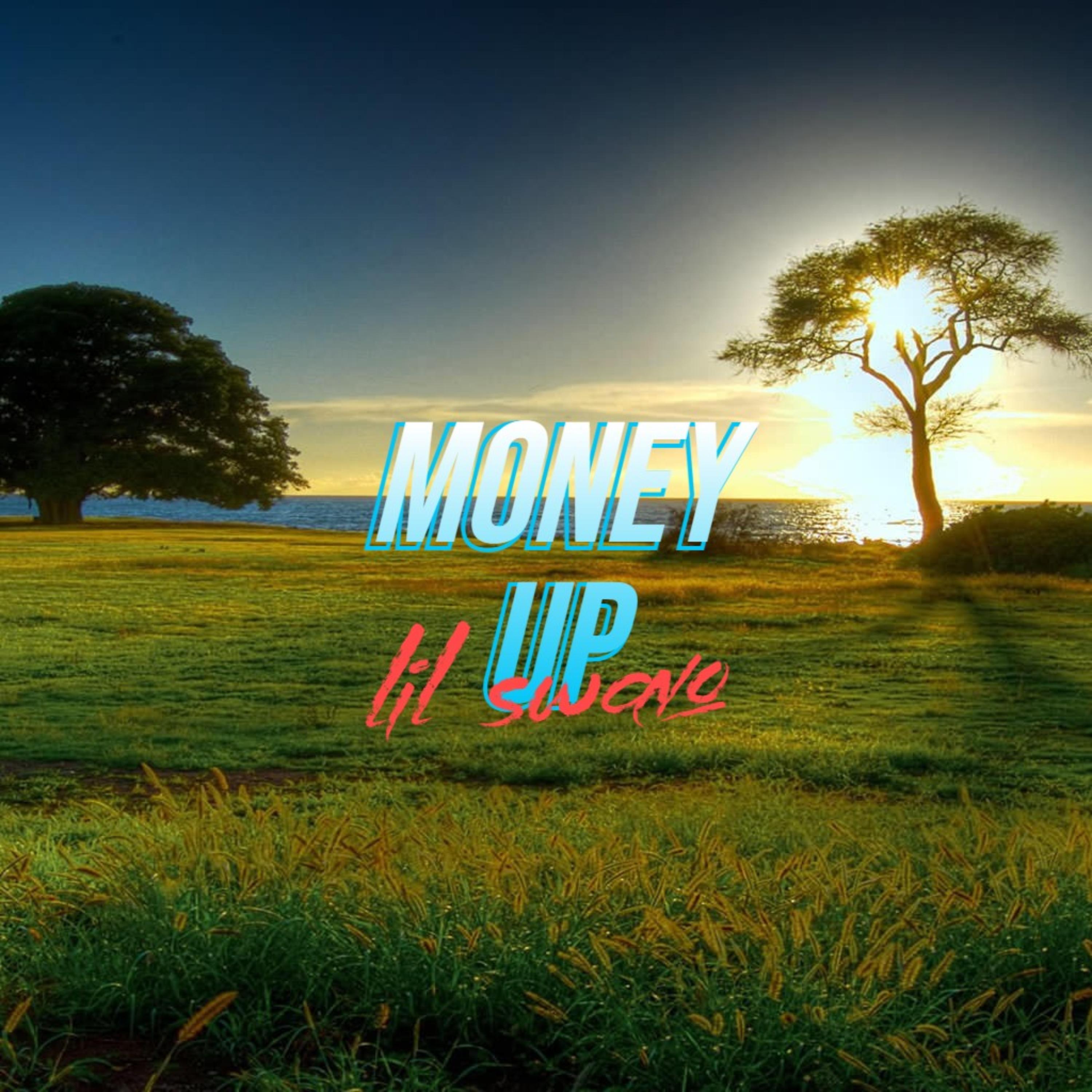 Money Up by Lil Swavo cover art