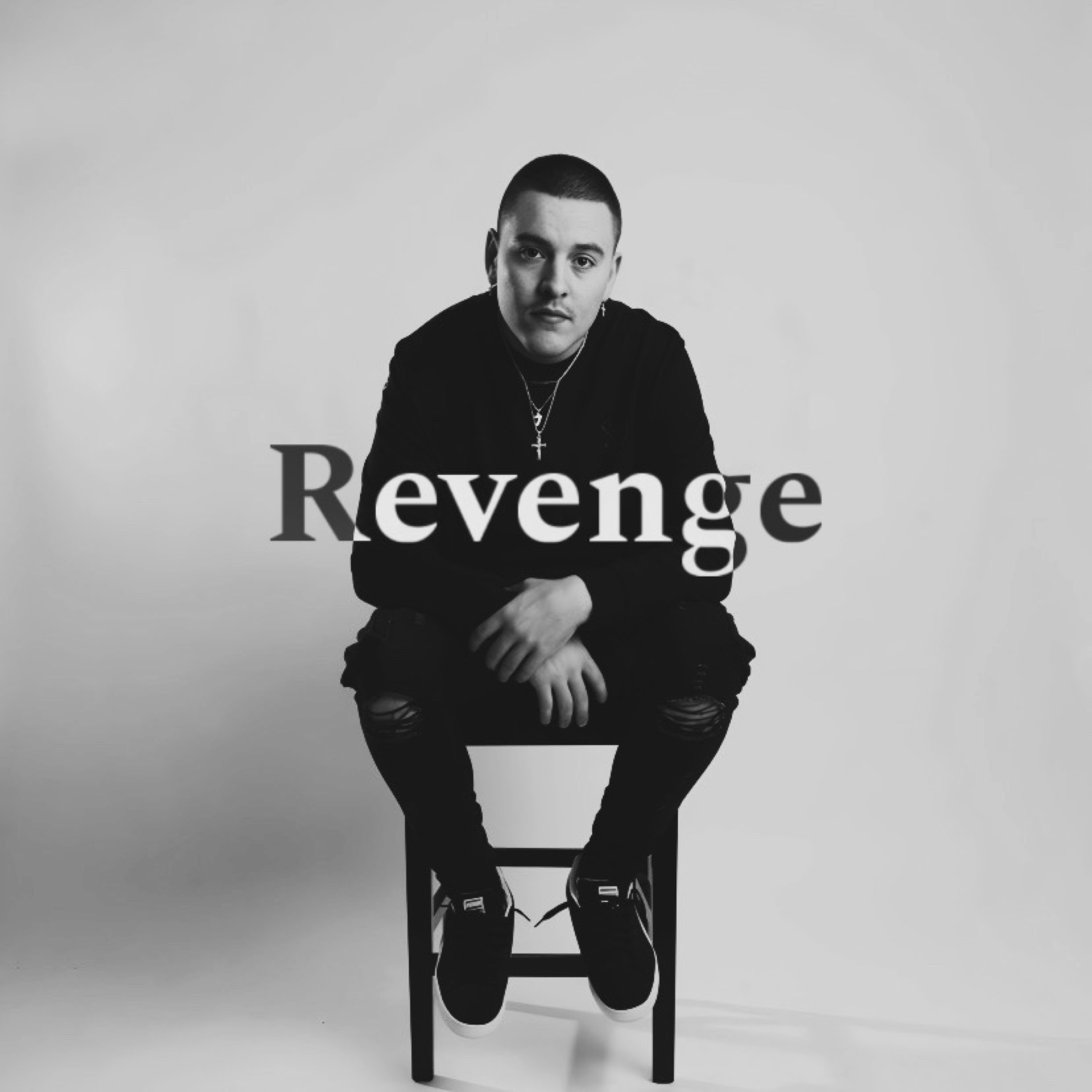 REVENGE artwork