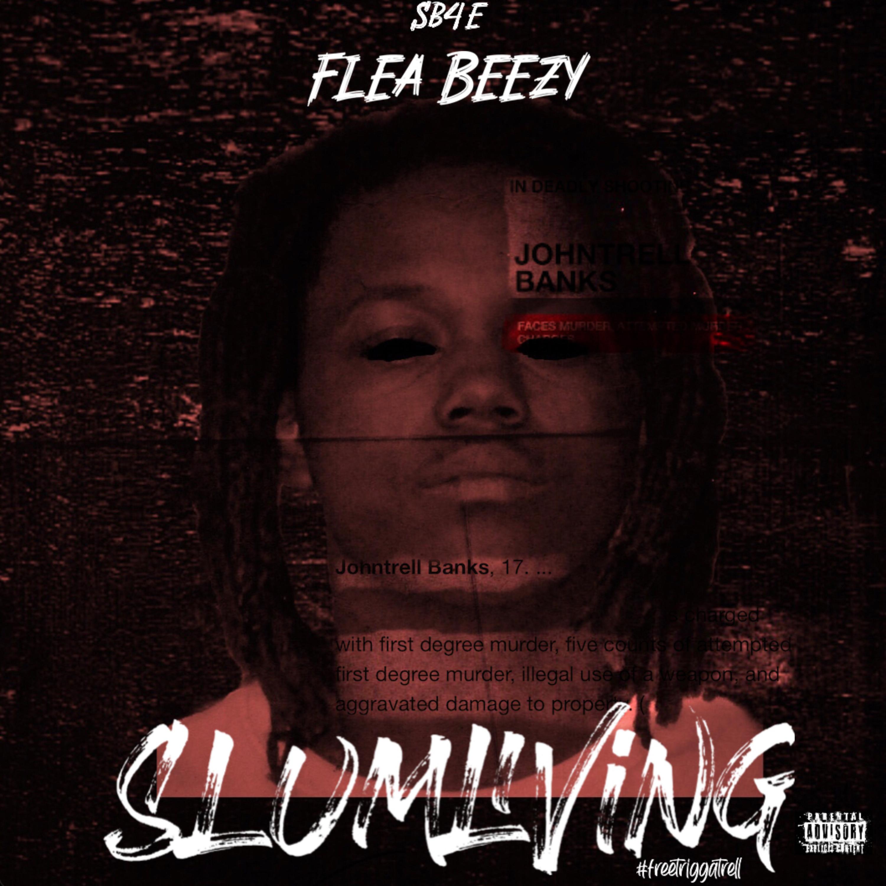 Slum Living artwork