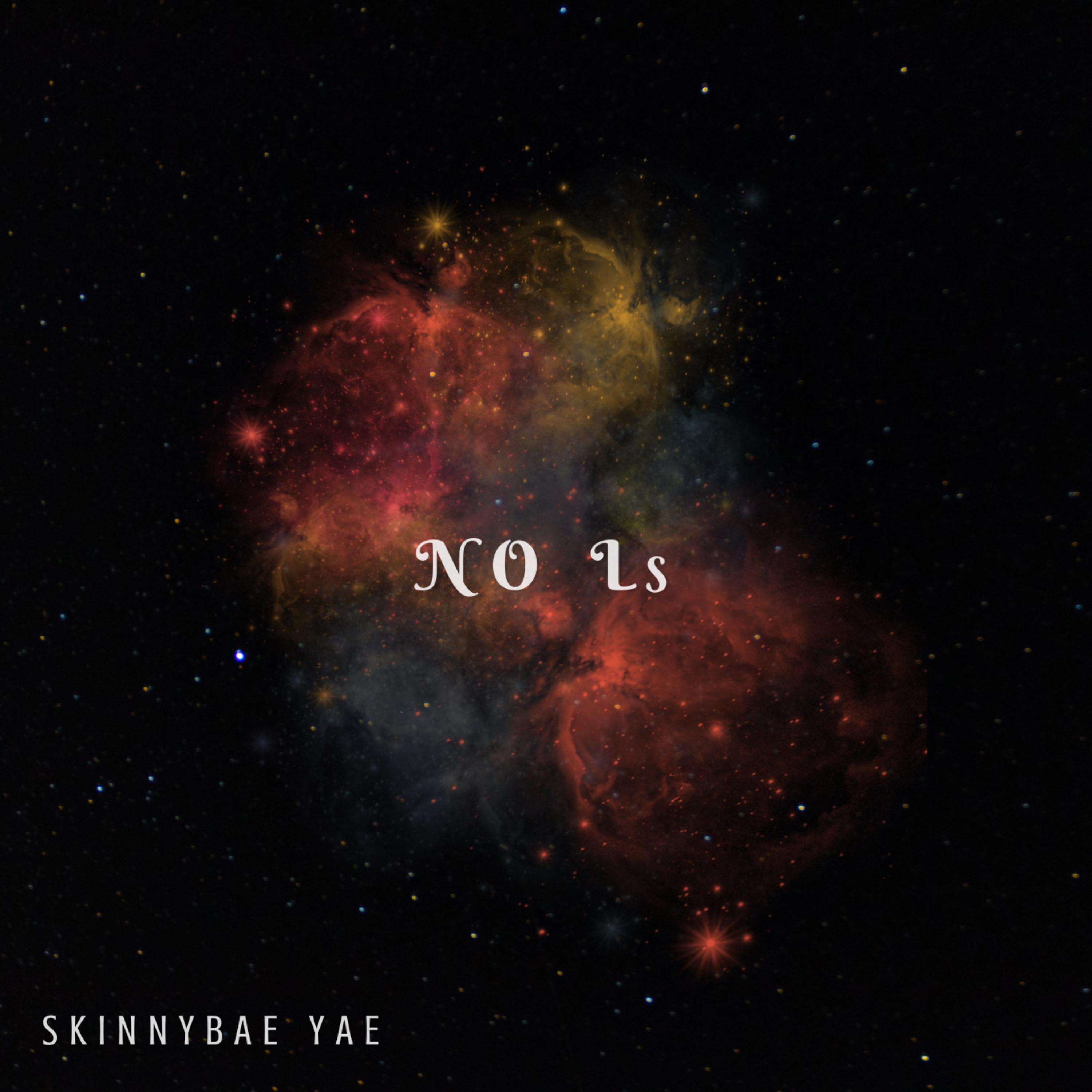 No Ls by SkinnyBae Yae cover art