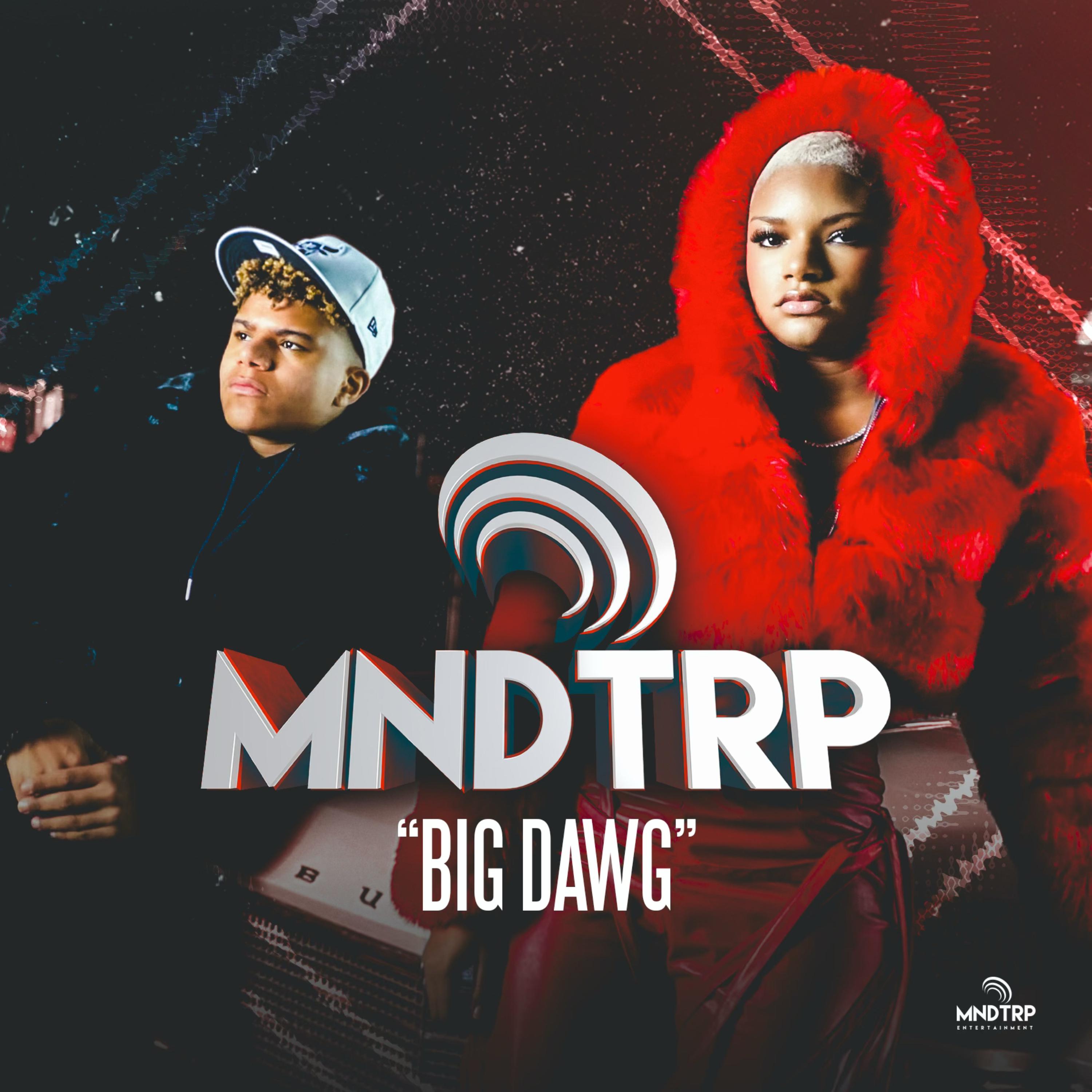 BIG DAWG artwork