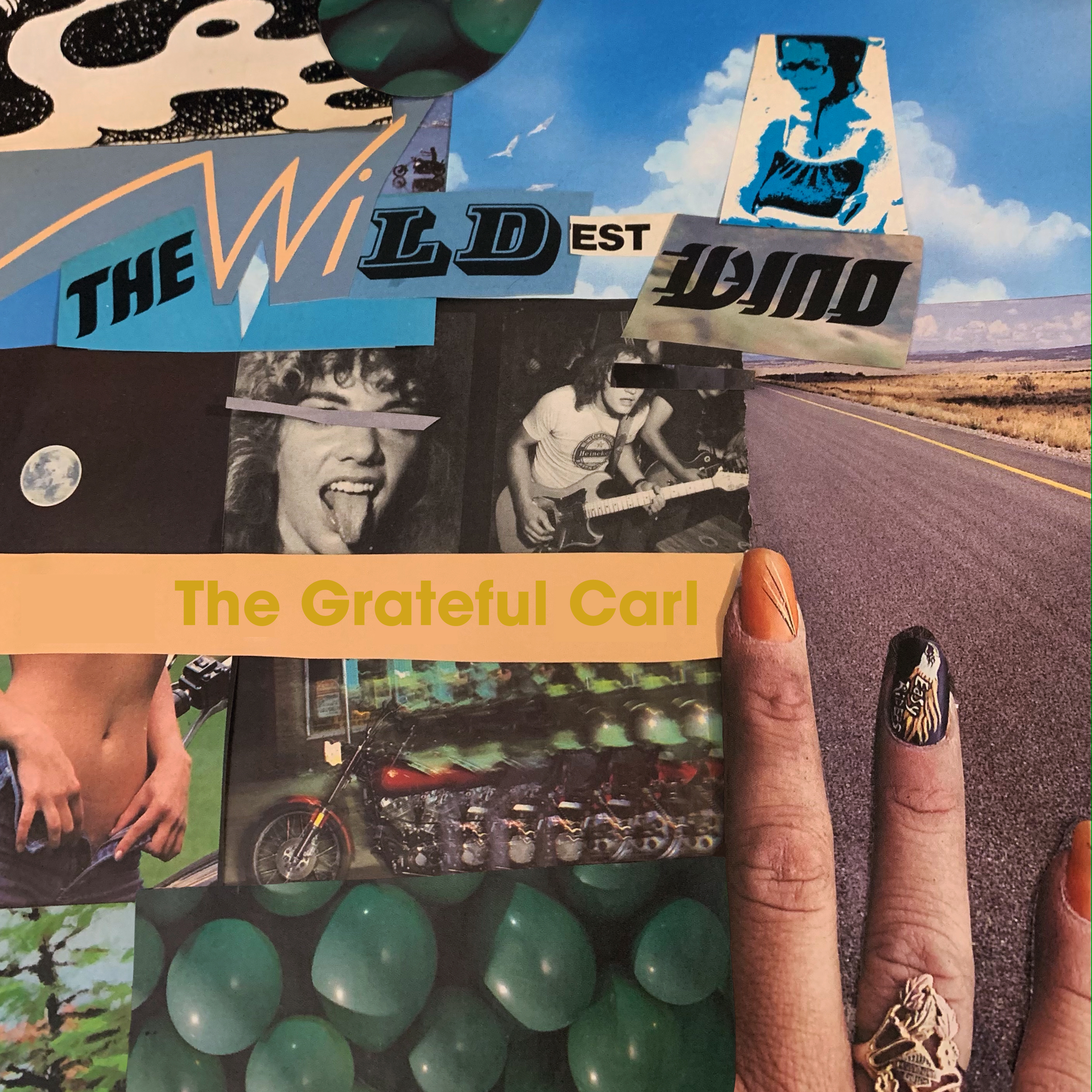 The Wildest Wind artwork