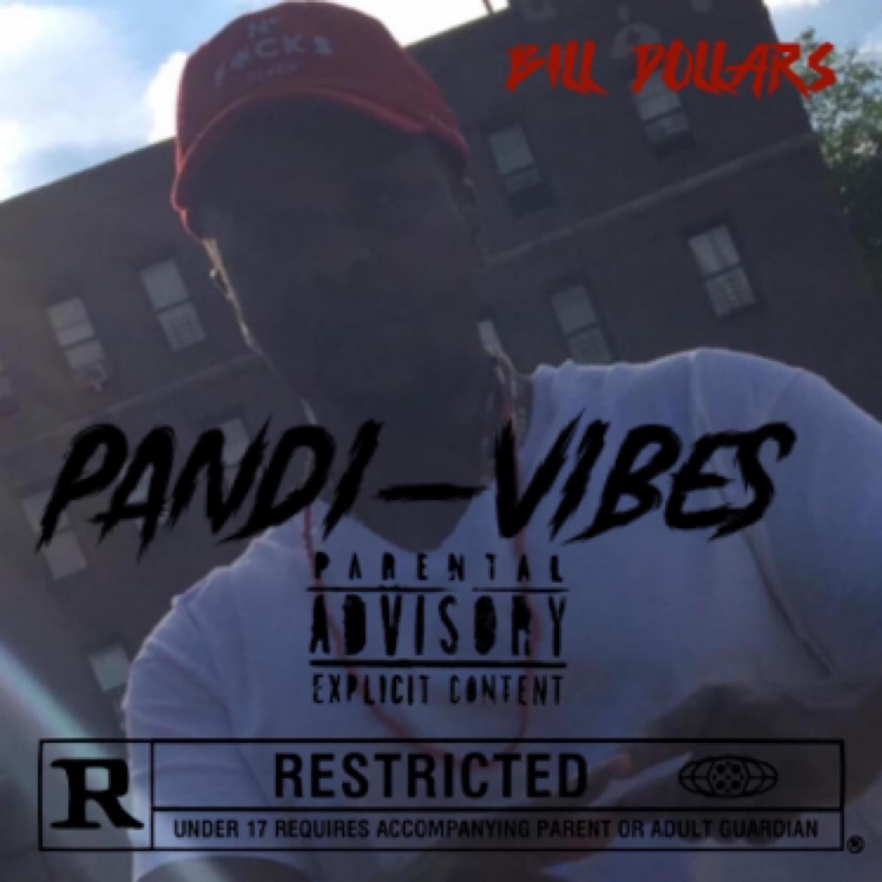 Pandi-vibes by Bill Dollars cover art