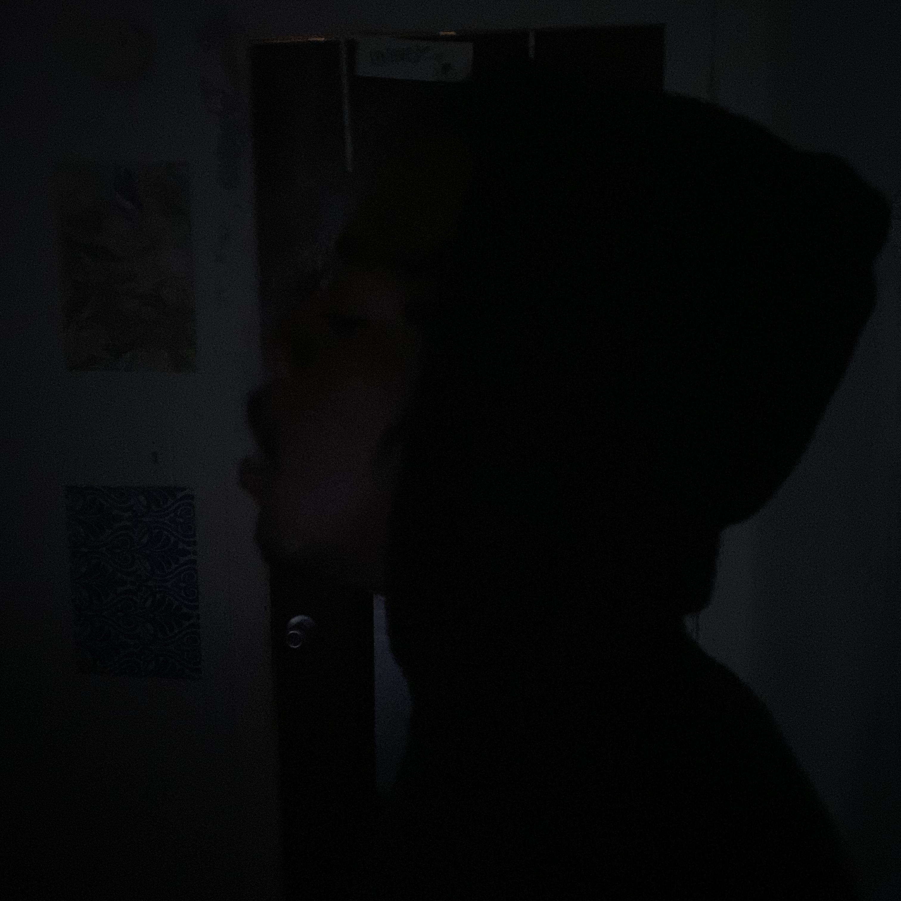 Kickdoorshit artwork