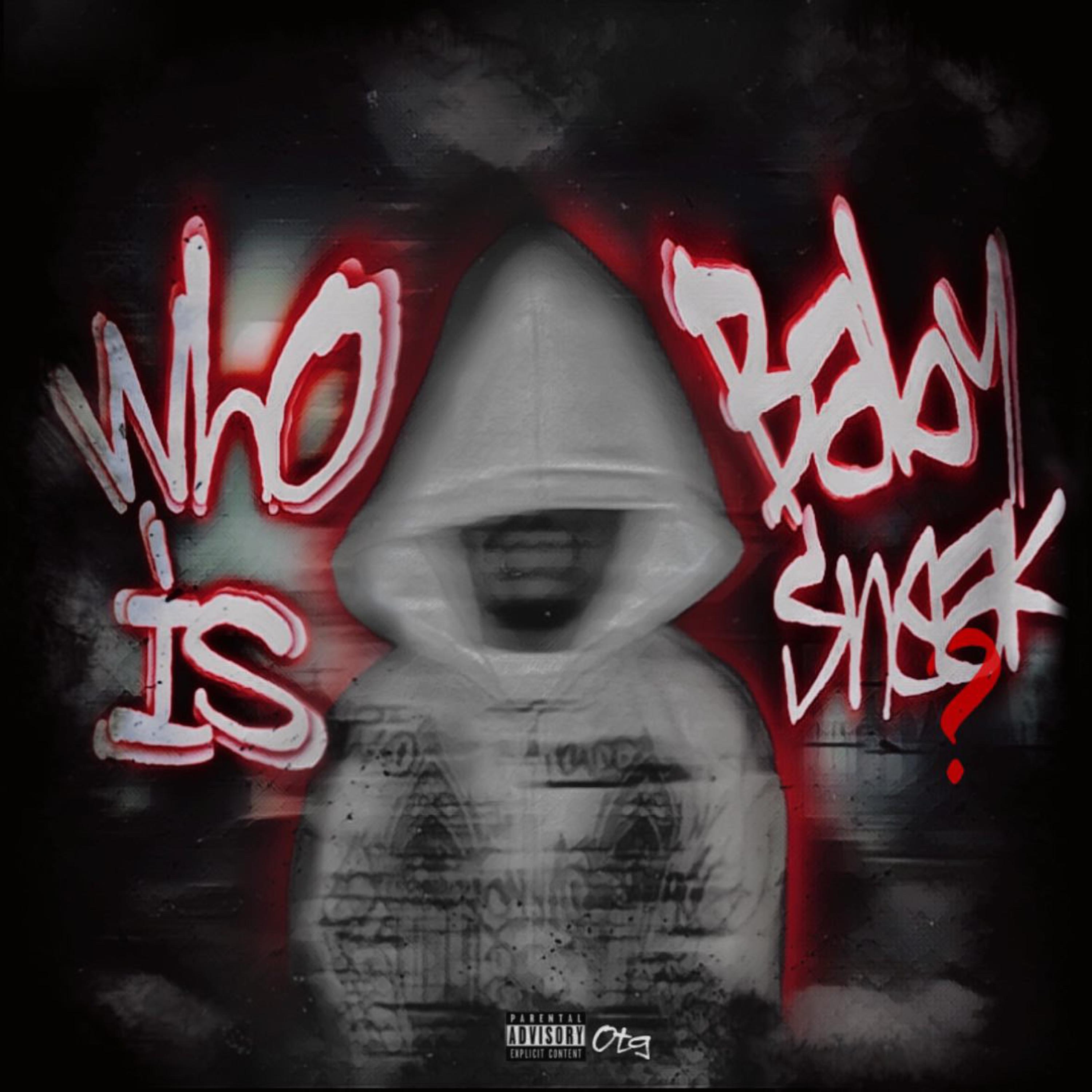 Who Is BabySneak? by Baby Sneak cover art