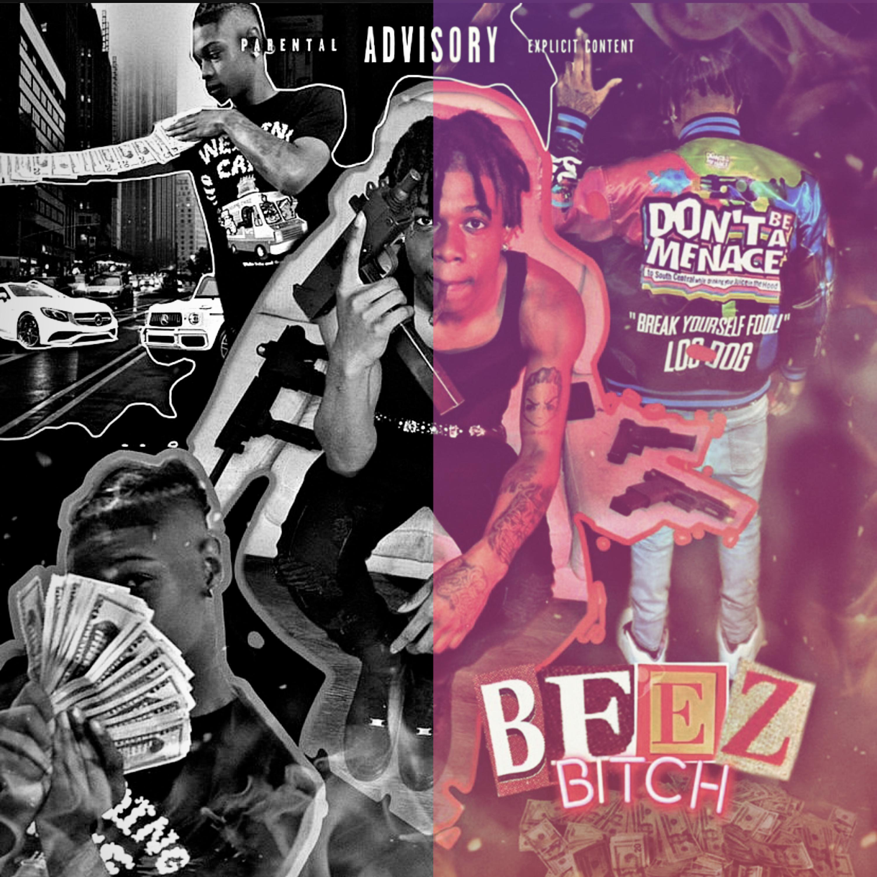 Beez Bitch artwork